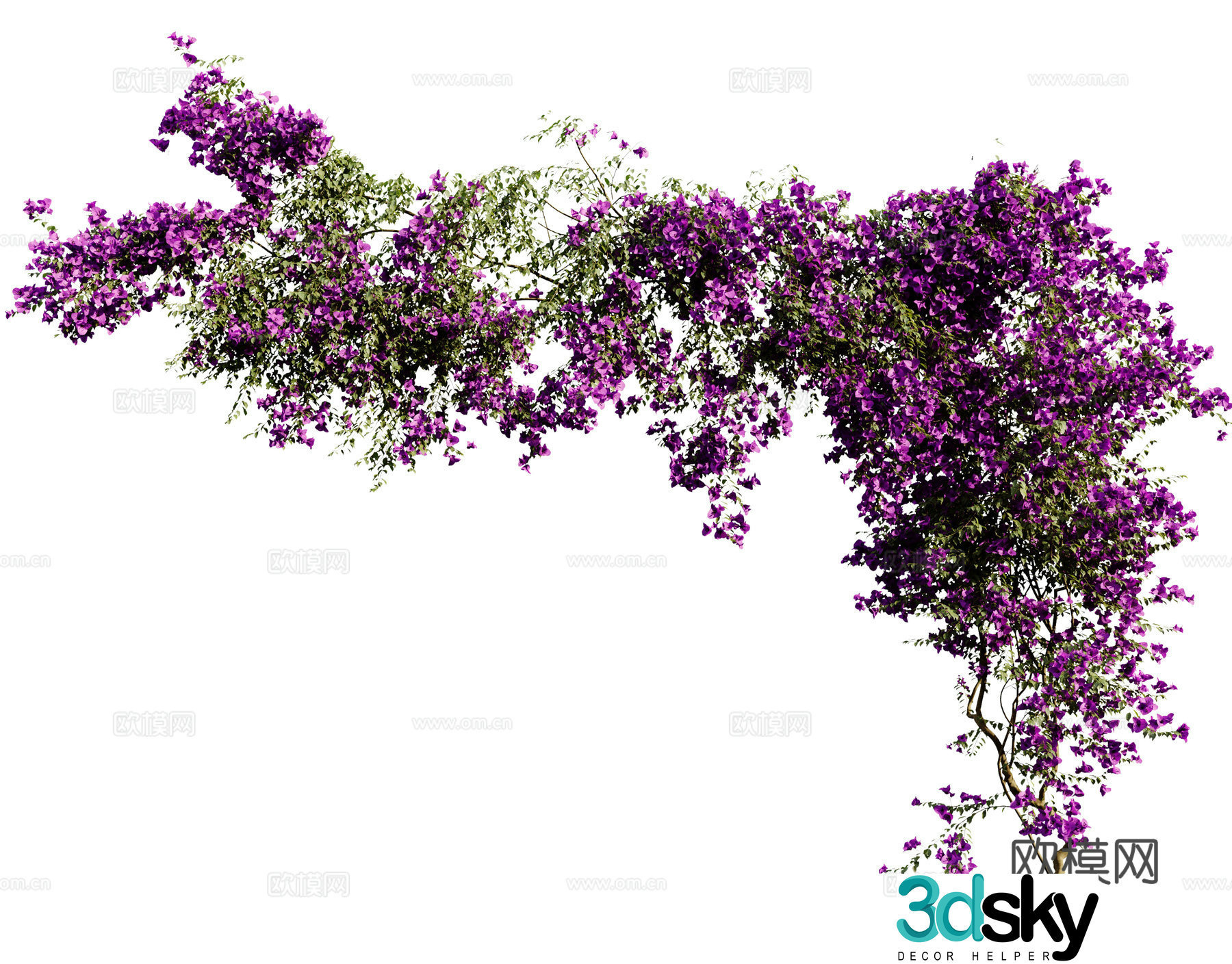 Modern vine 3d model