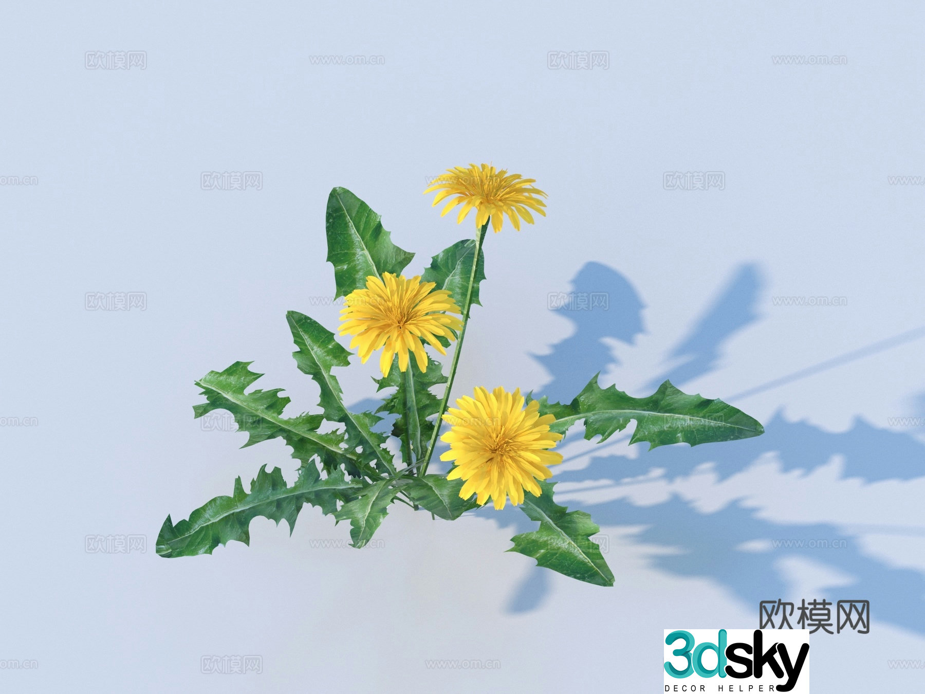 Flowers Wild Flowers Green Plants Flowers 3D Model