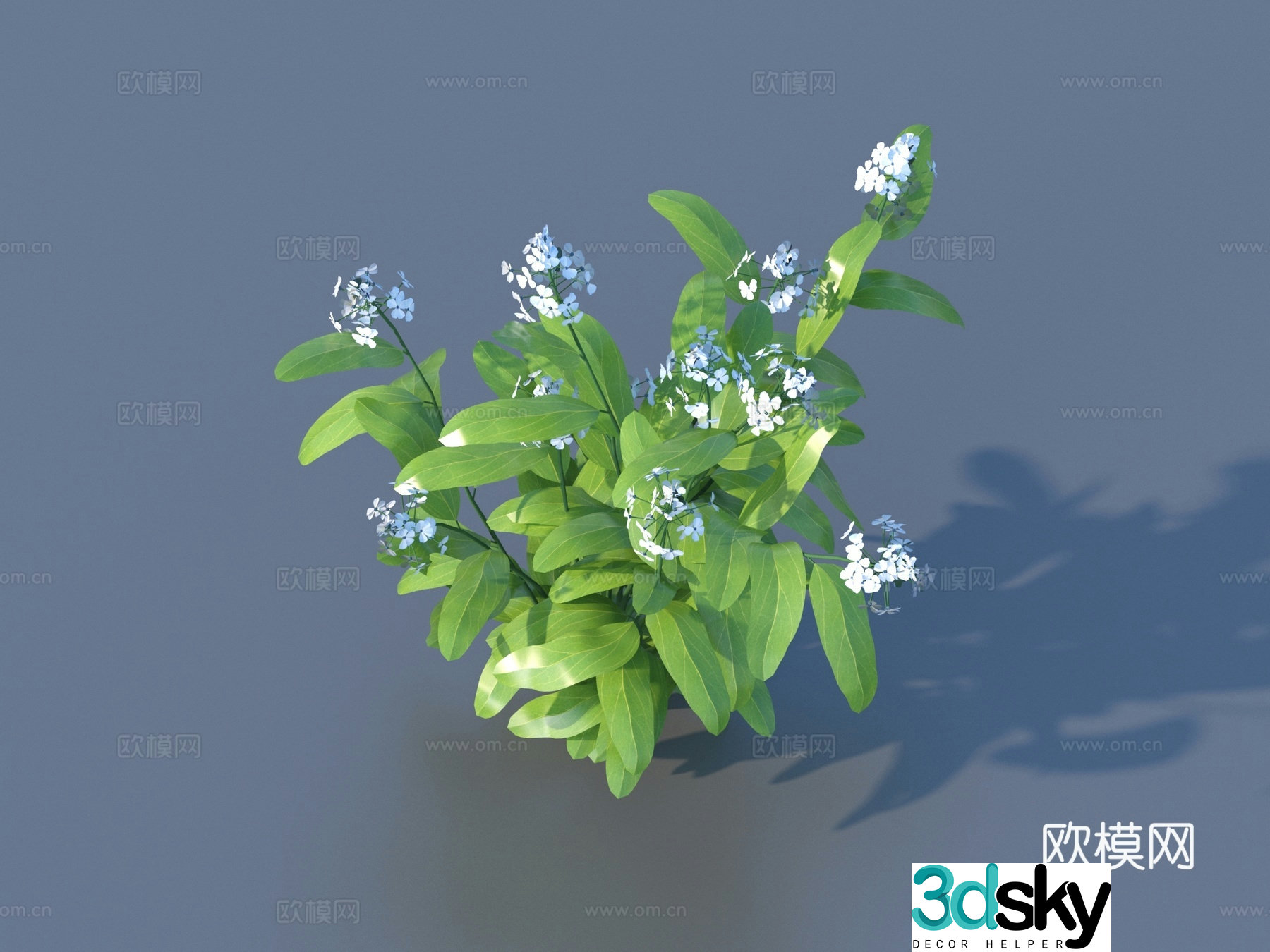 Flowers Wild Flowers Green Plants Flowers 3D Model