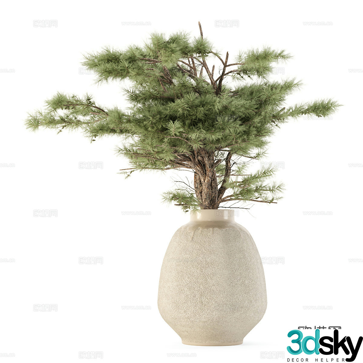 Modern plant potted bonsai green plants 3D model
