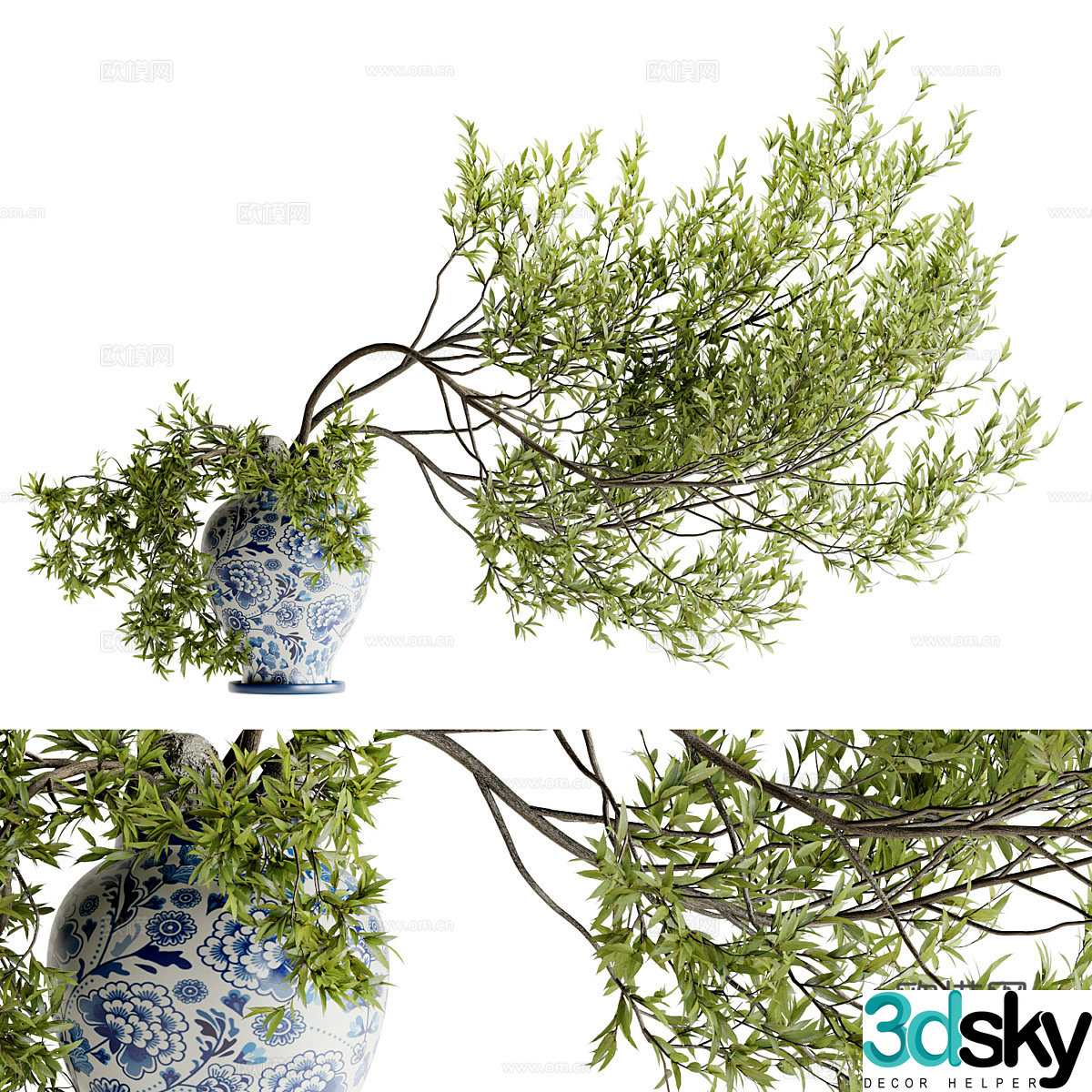 Modern plant potted bonsai green plants 3D model