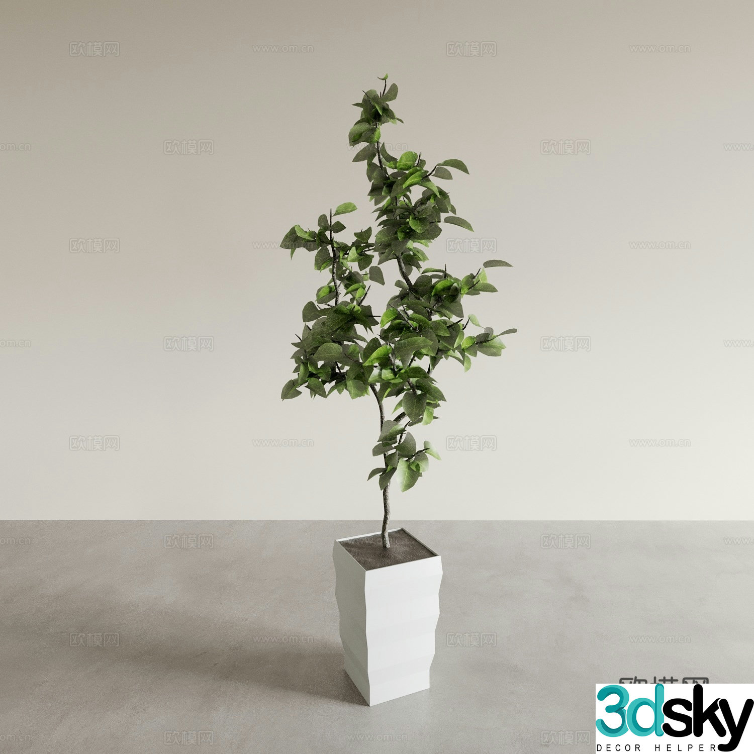 Bonsai pots indoor green plants plant ornaments plant flower pots vase flower pots 3D model