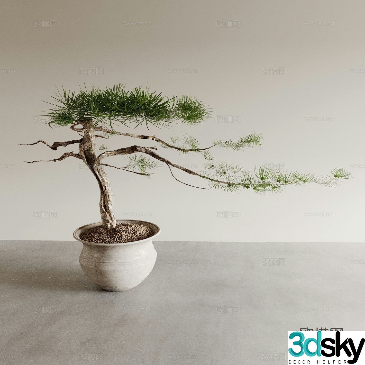 Bonsai pots indoor green plants plant ornaments plant flower pots vase flower pots 3D model