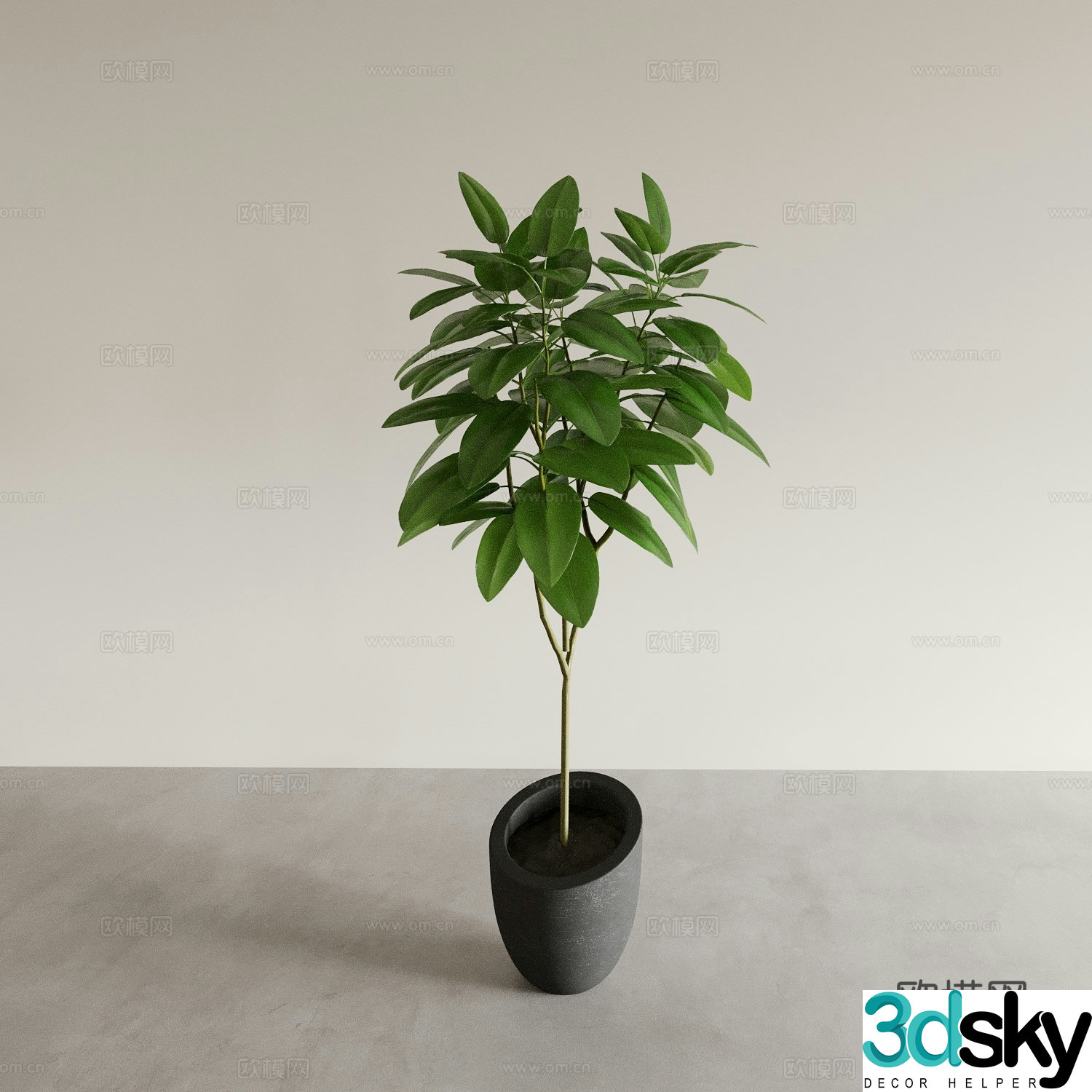 Bonsai pots indoor green plants plant ornaments plant flower pots vase flower pots 3D model