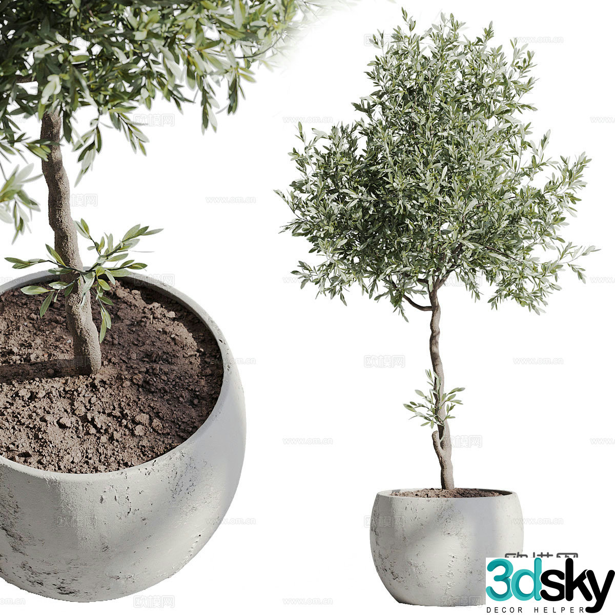 Potted green plants Balcony pot plants Balcony green plants Outdoor green plants Living room green plants Potted plant combination 3D model
