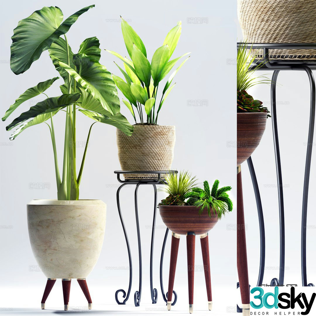Green plant potted 3D model