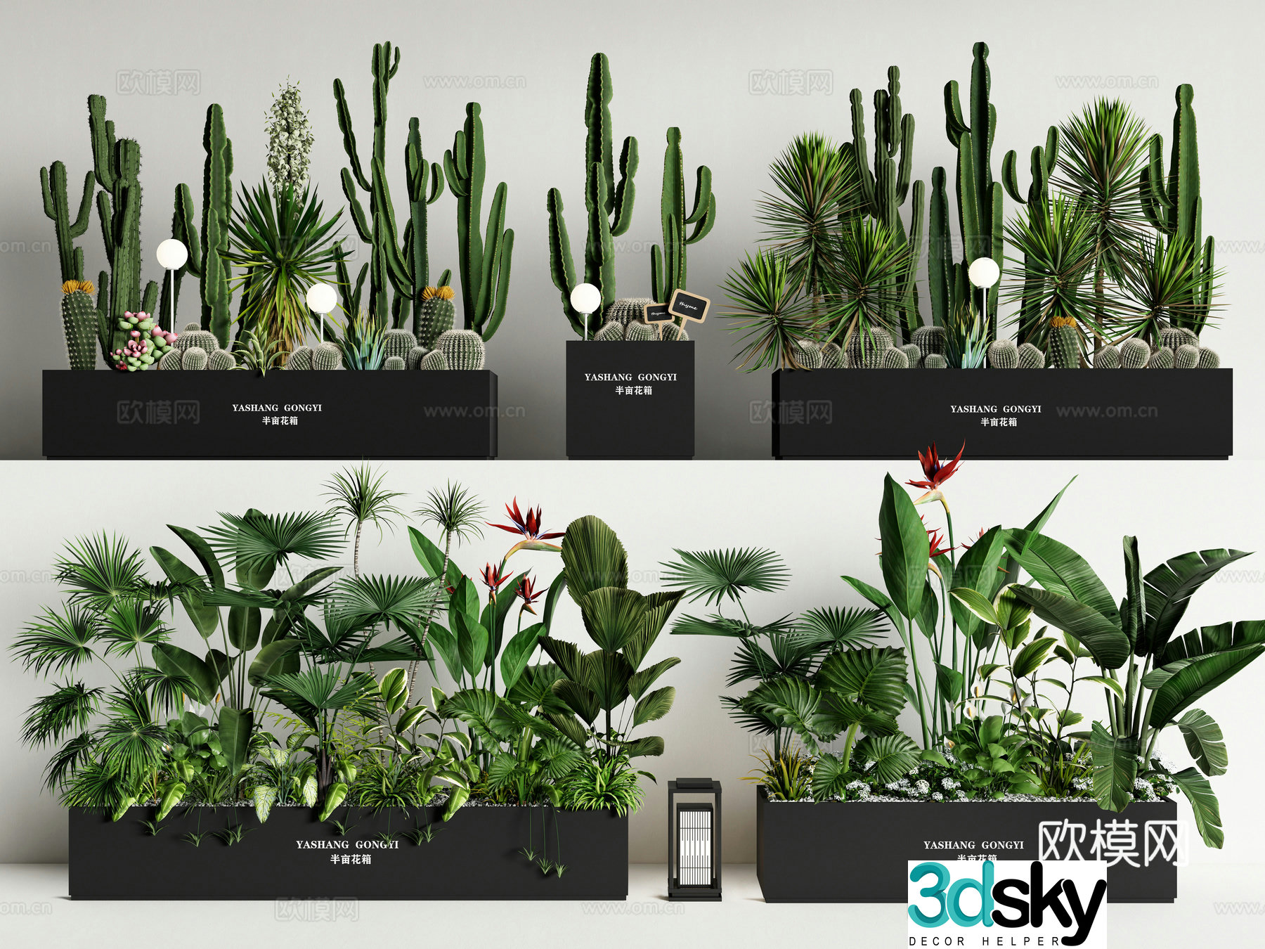 Plant combination green plant flower box outer green plant flower box flower bed flower bowl cactus 3d model