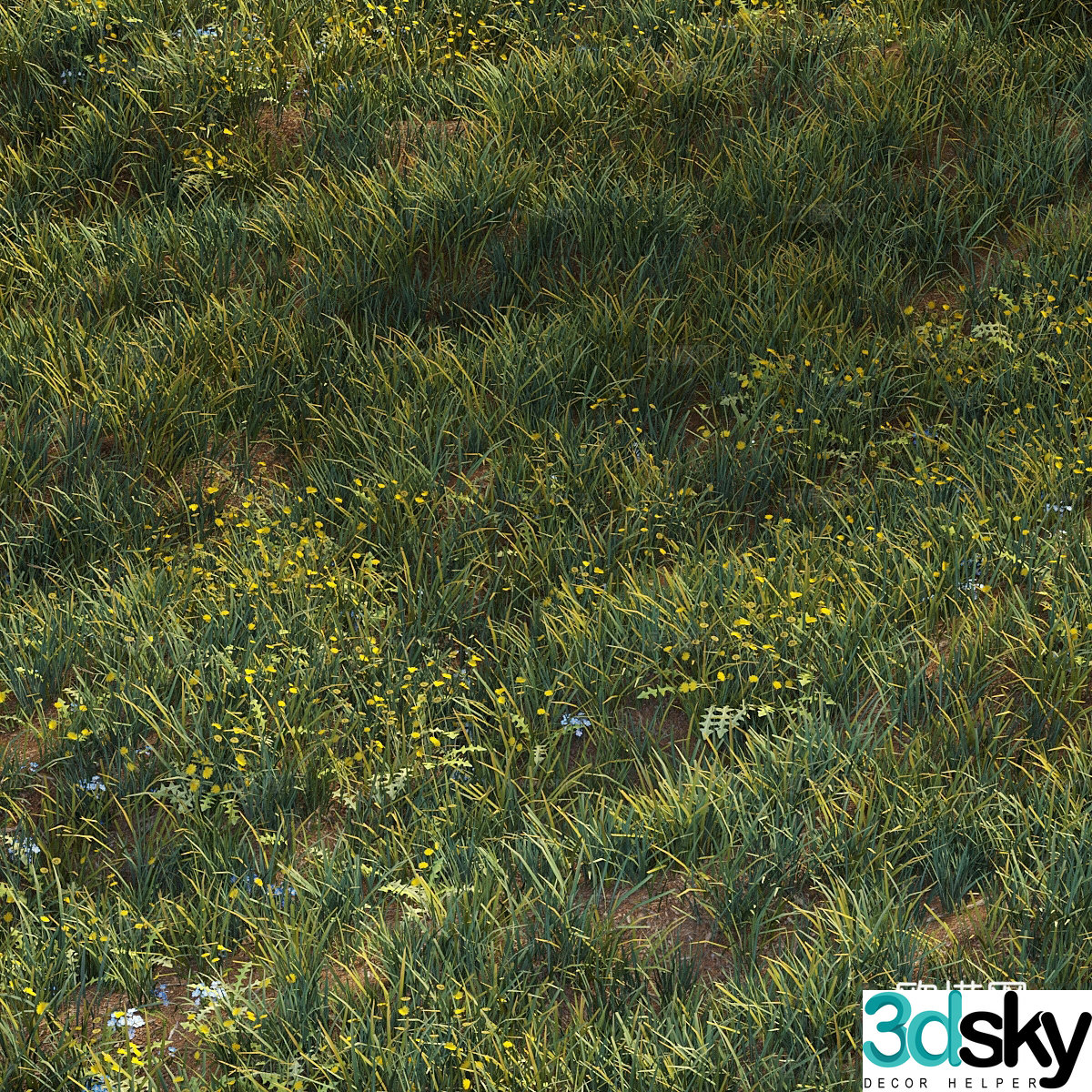 Grass 3d model