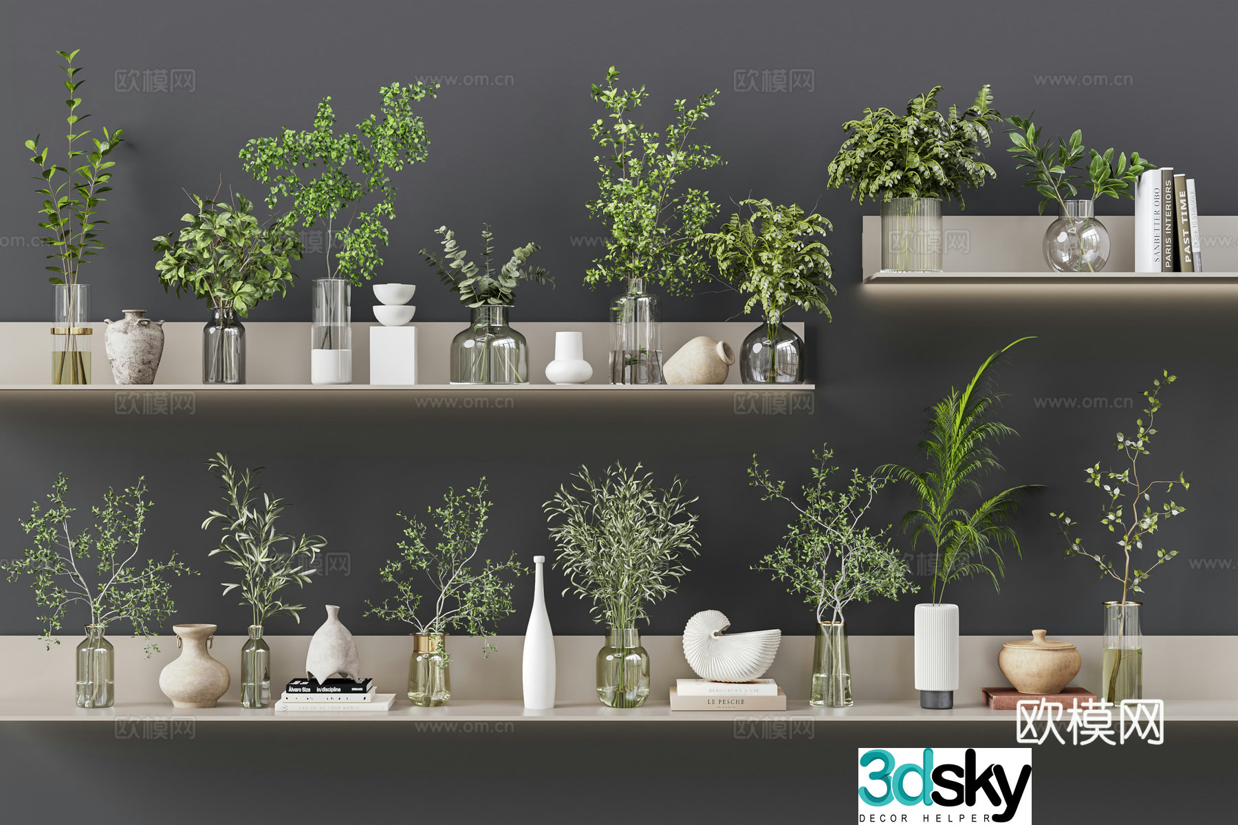 Modern aquatic green plants vases accessories potted plants plants glass bottles hydroponic green 3D model