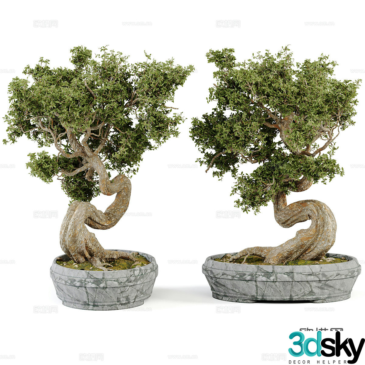 Bonsai collection volume 3D model