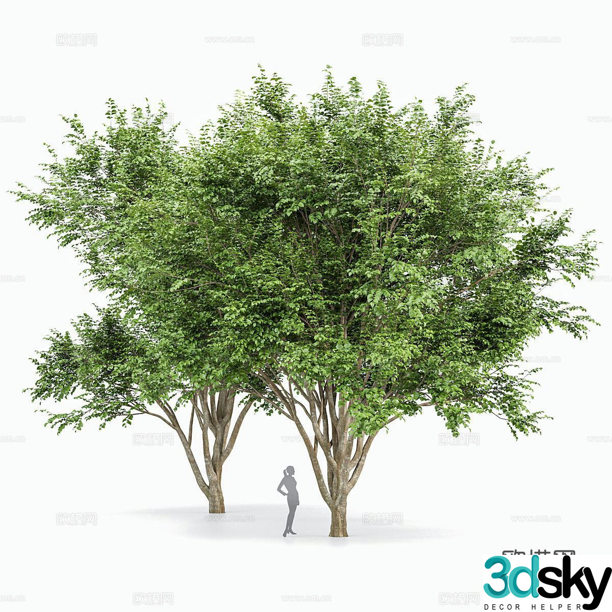 Modern trees Landscape trees Shrubs Trees Big Tree Street Tree 3D Model