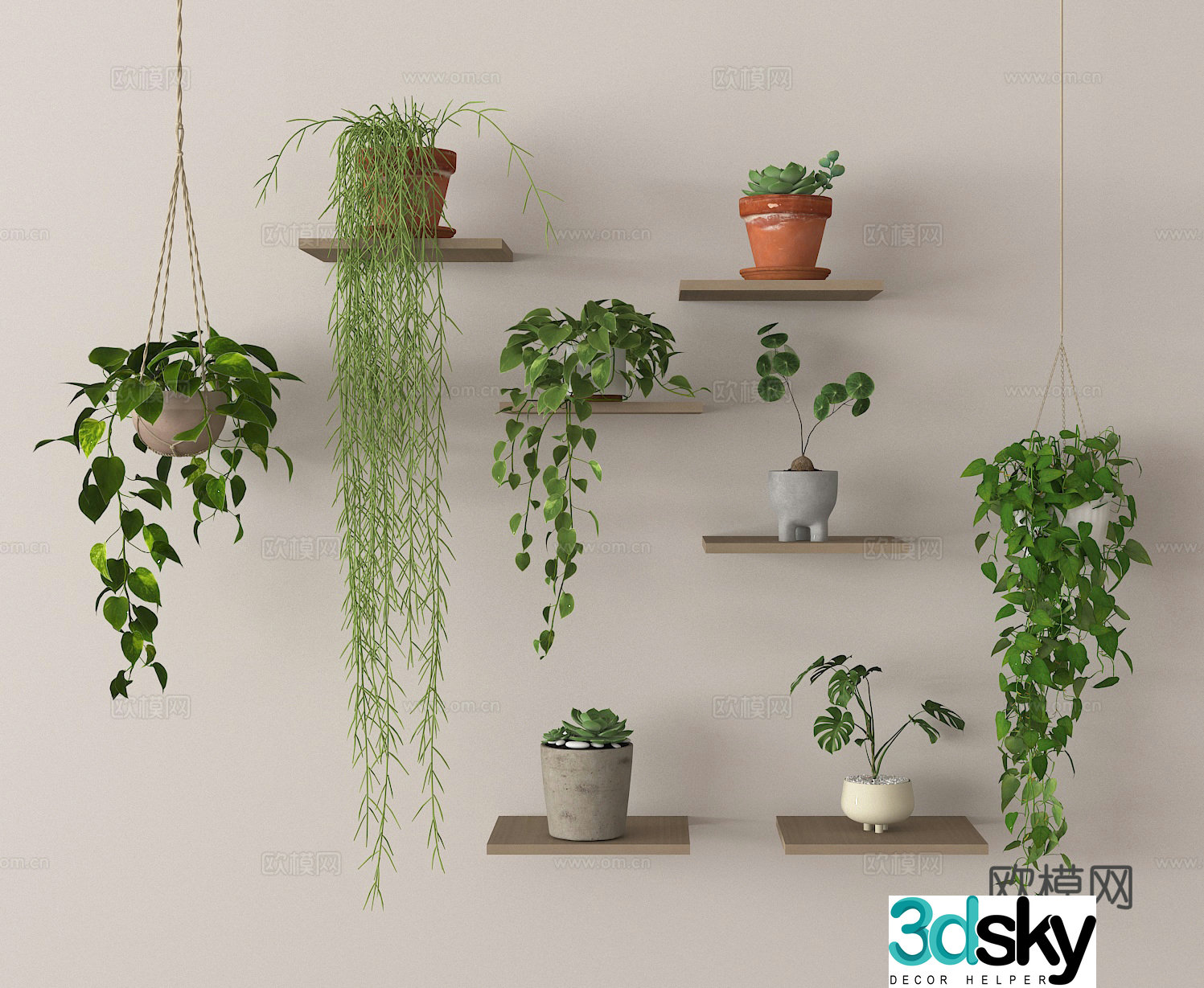 Potted plants green plants hanging basket bonsai 3d model