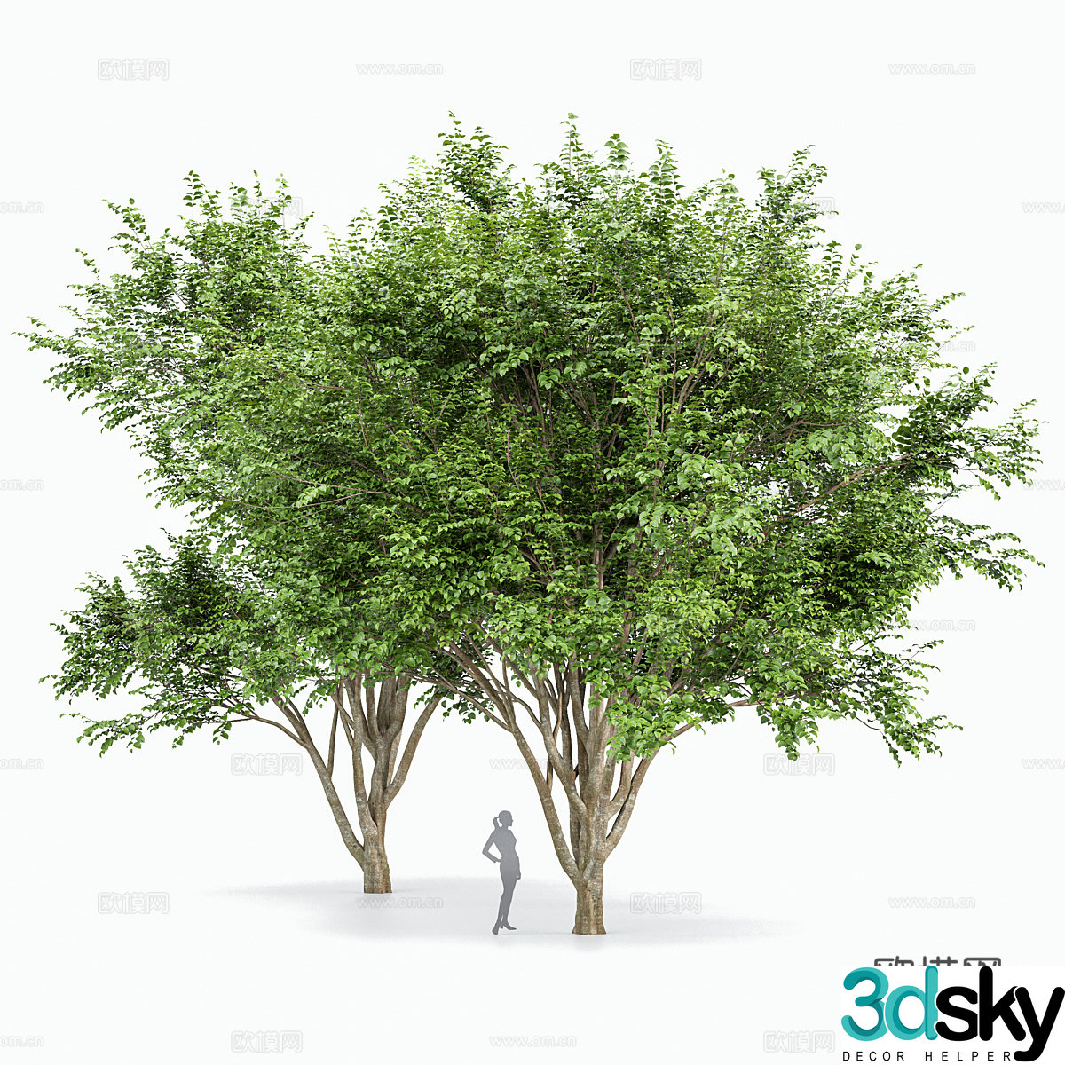 Big tree shrub 3d model