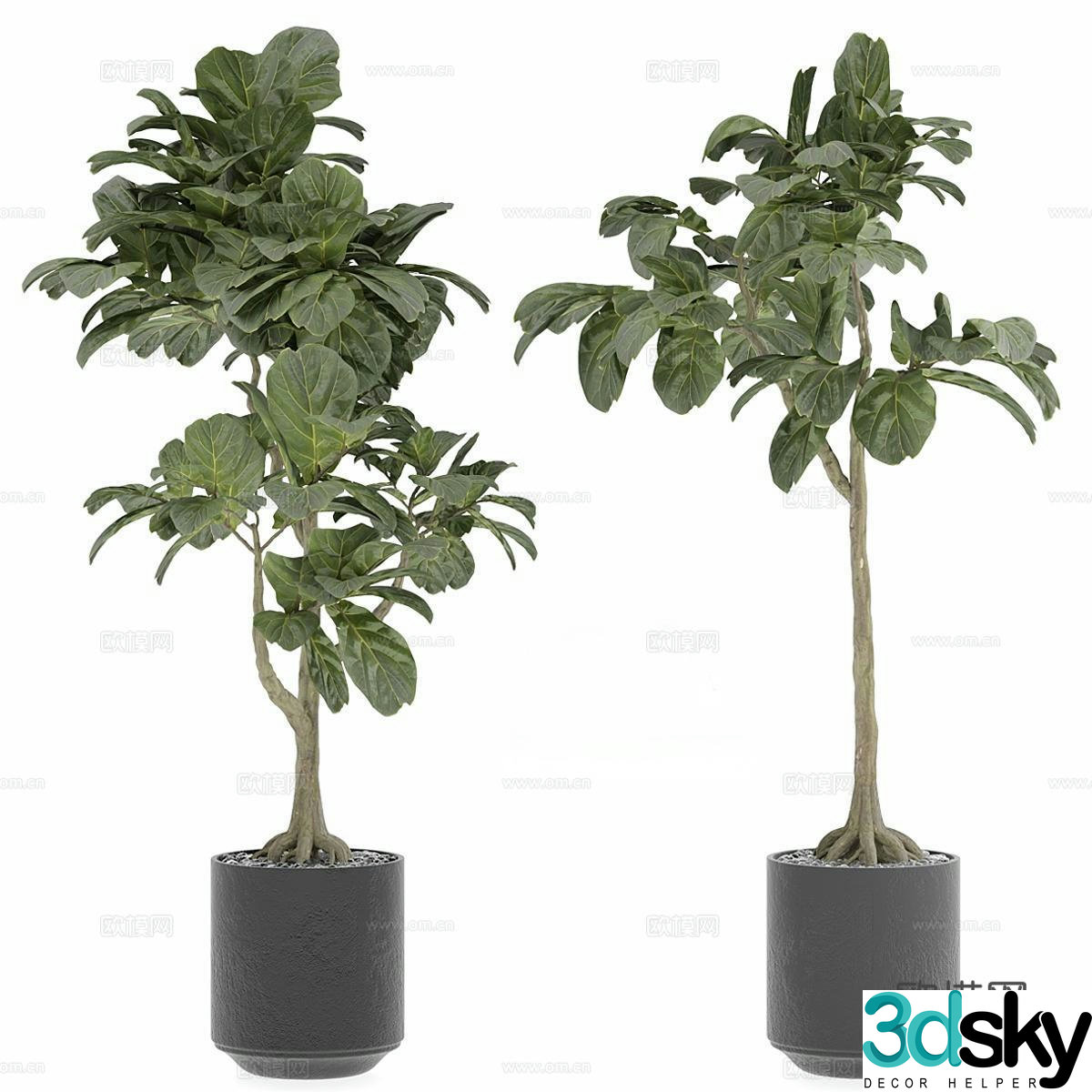 Modern potted plants potted bonsai indoor potted plants outdoor potted plants green plant decorations green plant ornaments 3D model