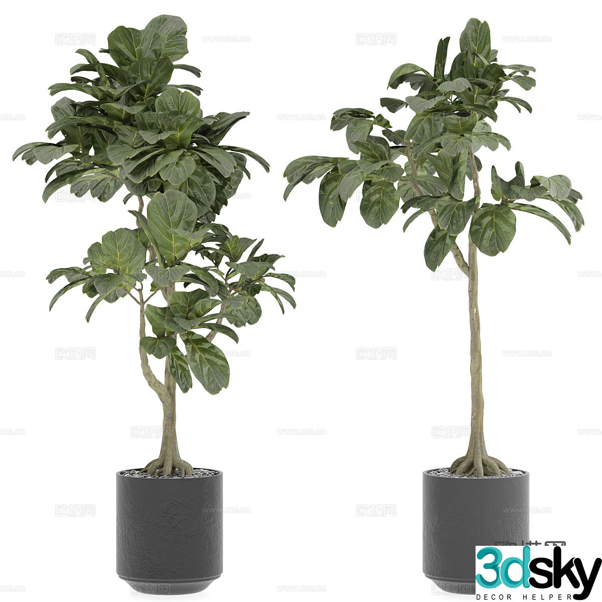 Houseplant 3d model