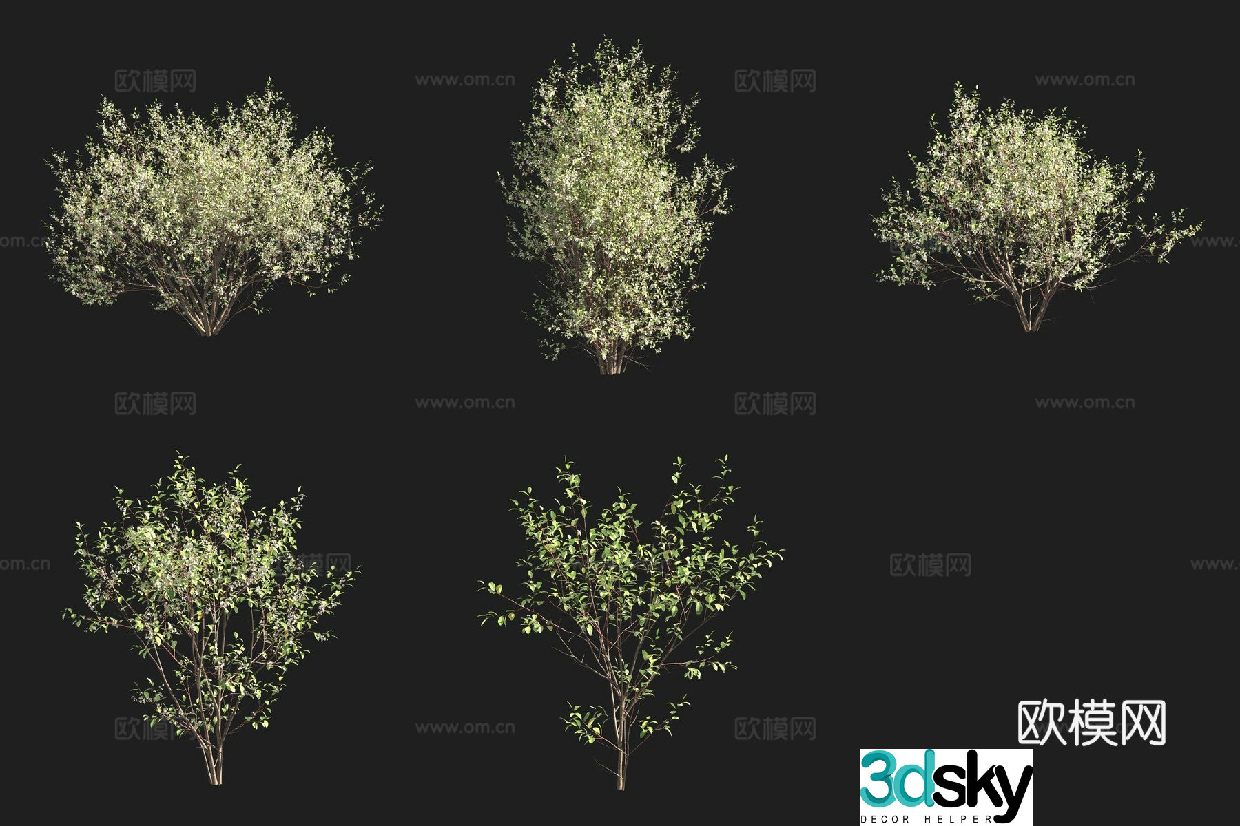 3D model of plum shrub