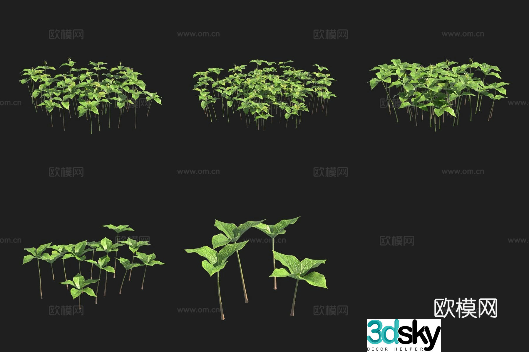 Four-leaf heavy-floor flower and grass Swedish plant 3D model