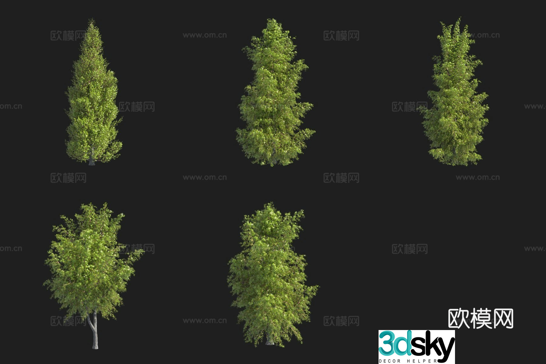 European Juniper Swedish Plant 3D Model