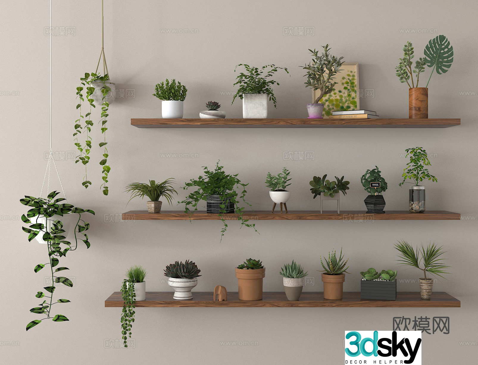 Potted plants green plants hanging basket bonsai 3d model