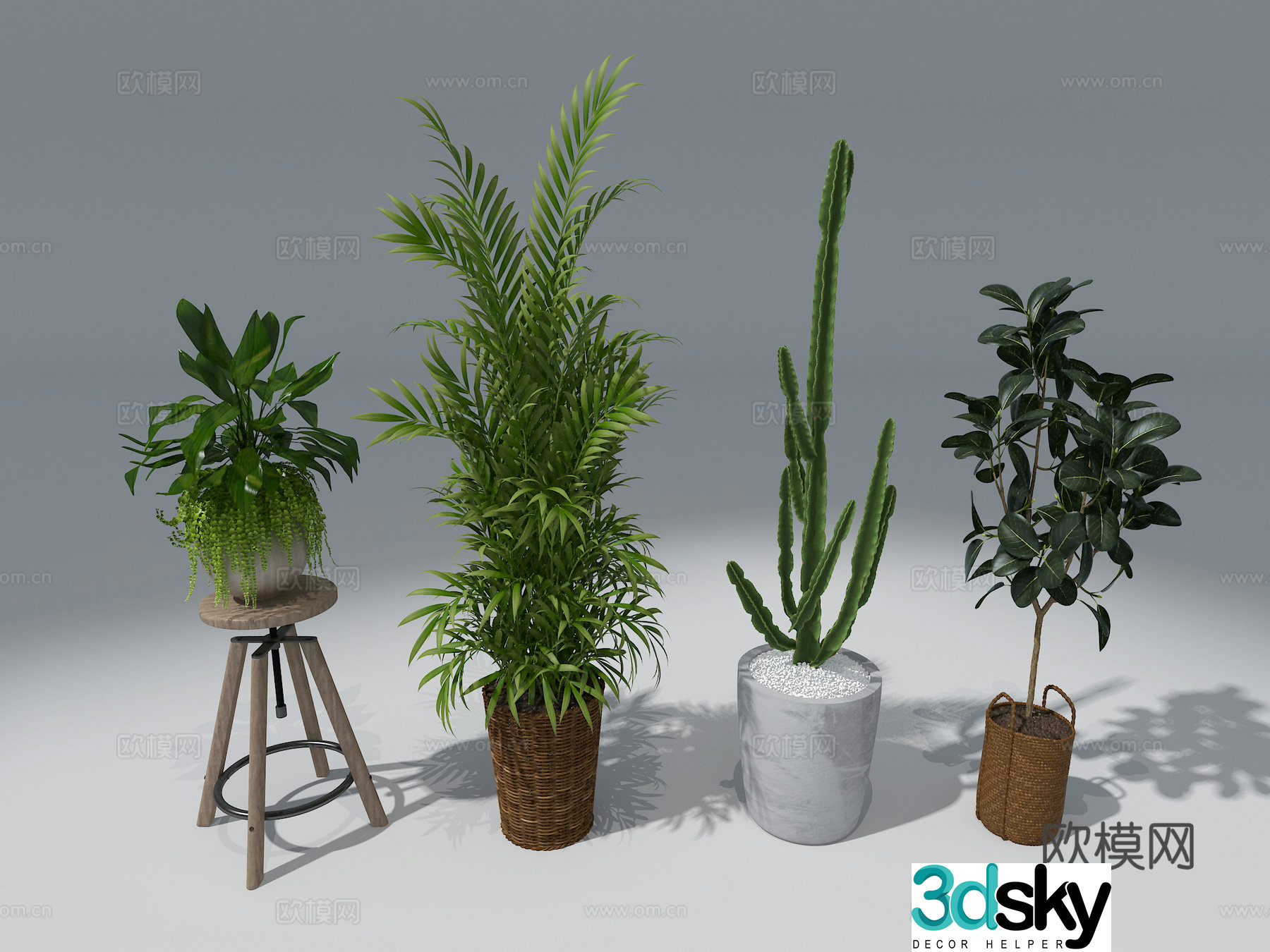 3D model of indoor potted plants
