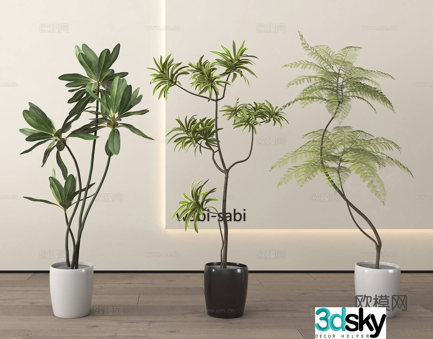 Potted plants Bonsai Green plants 3D model