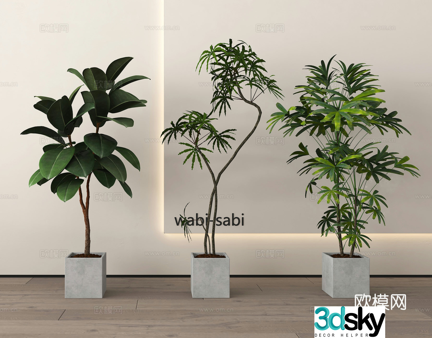 Potted plants Bonsai Green plants 3D model