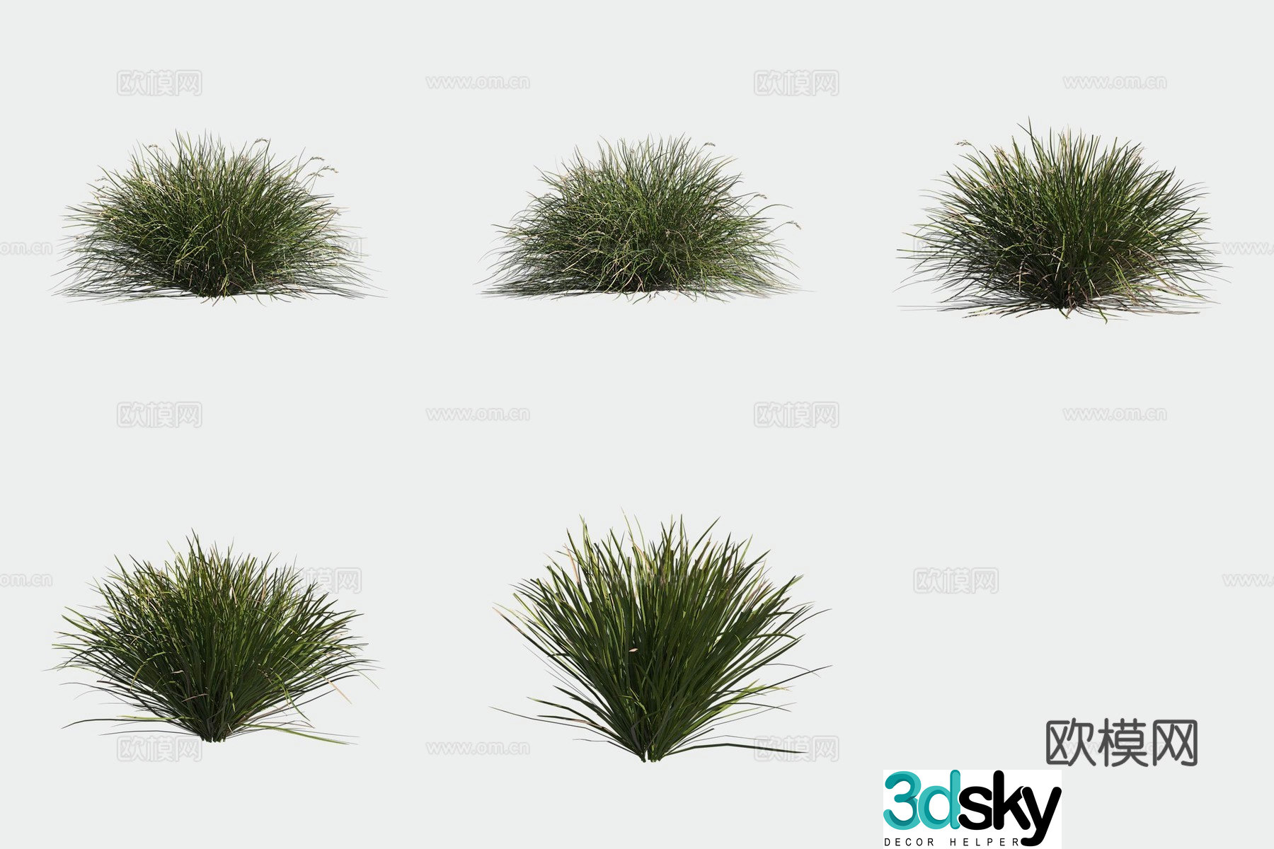 Slim sedge bush 3d model
