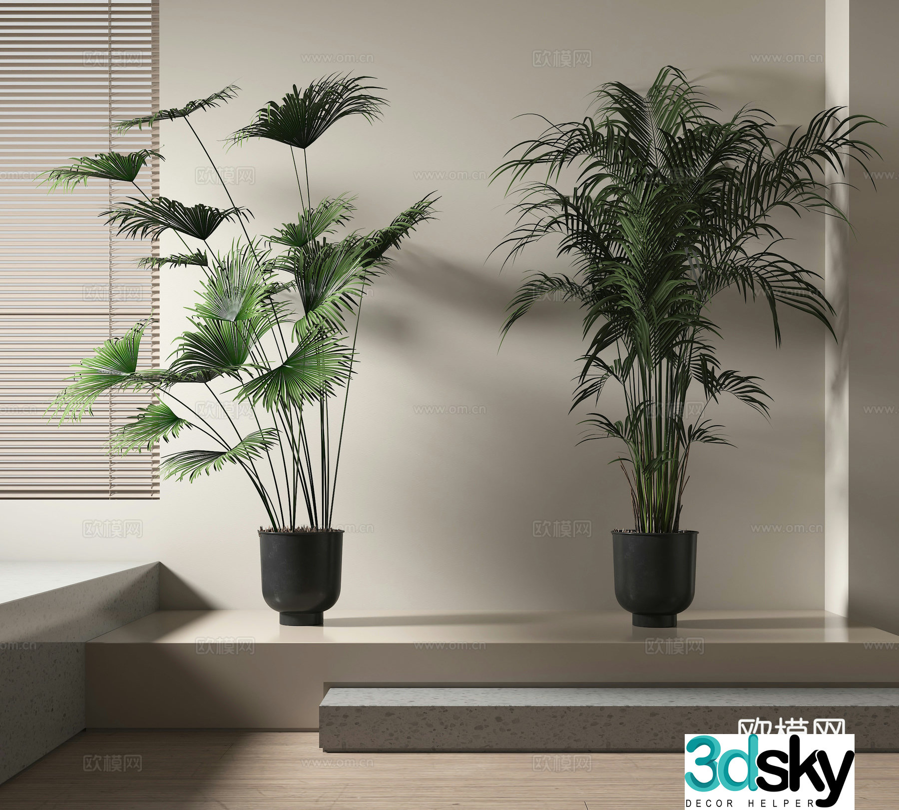 Potted plants Bonsai Green plants 3D model