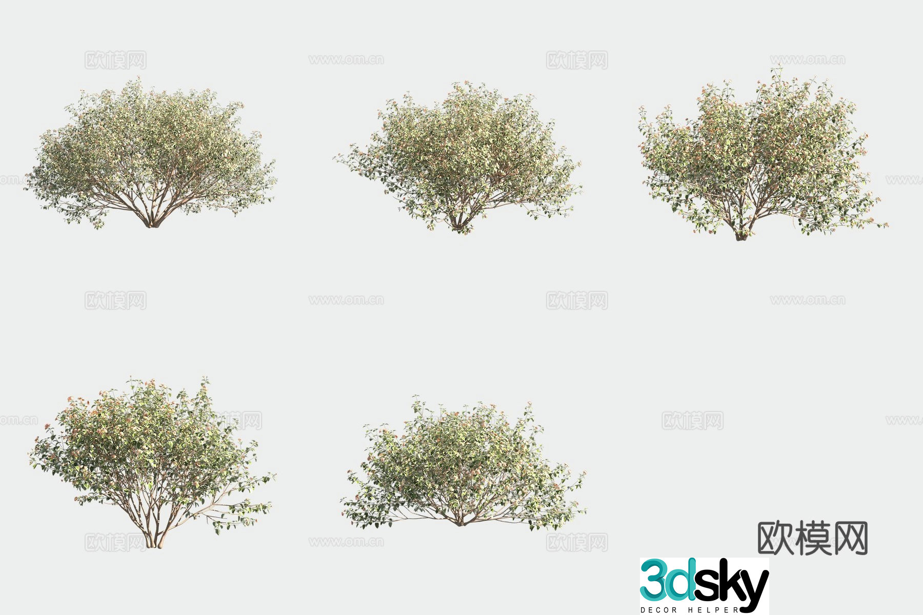 Lantana bush 3d model