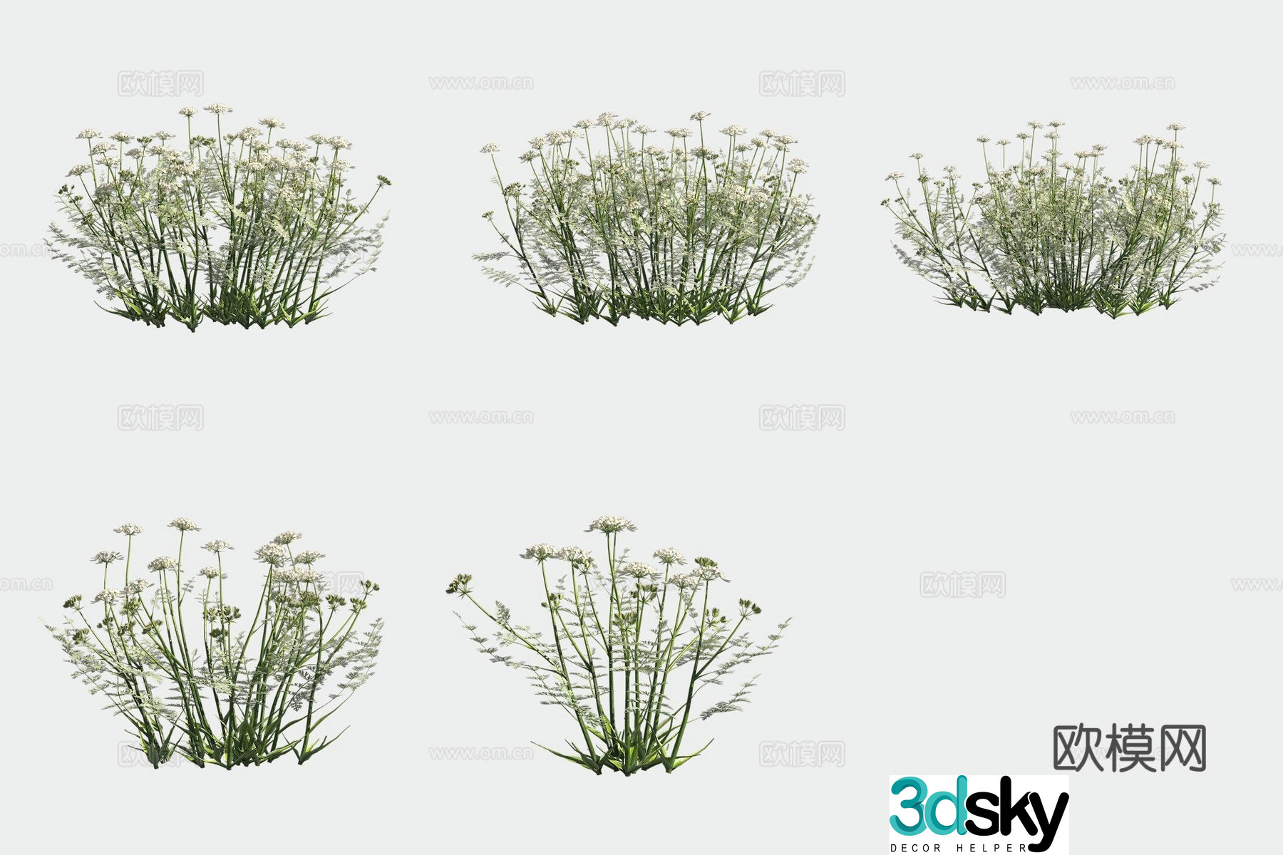 Big flower Aola flower flowers and plants shrubs 3d model