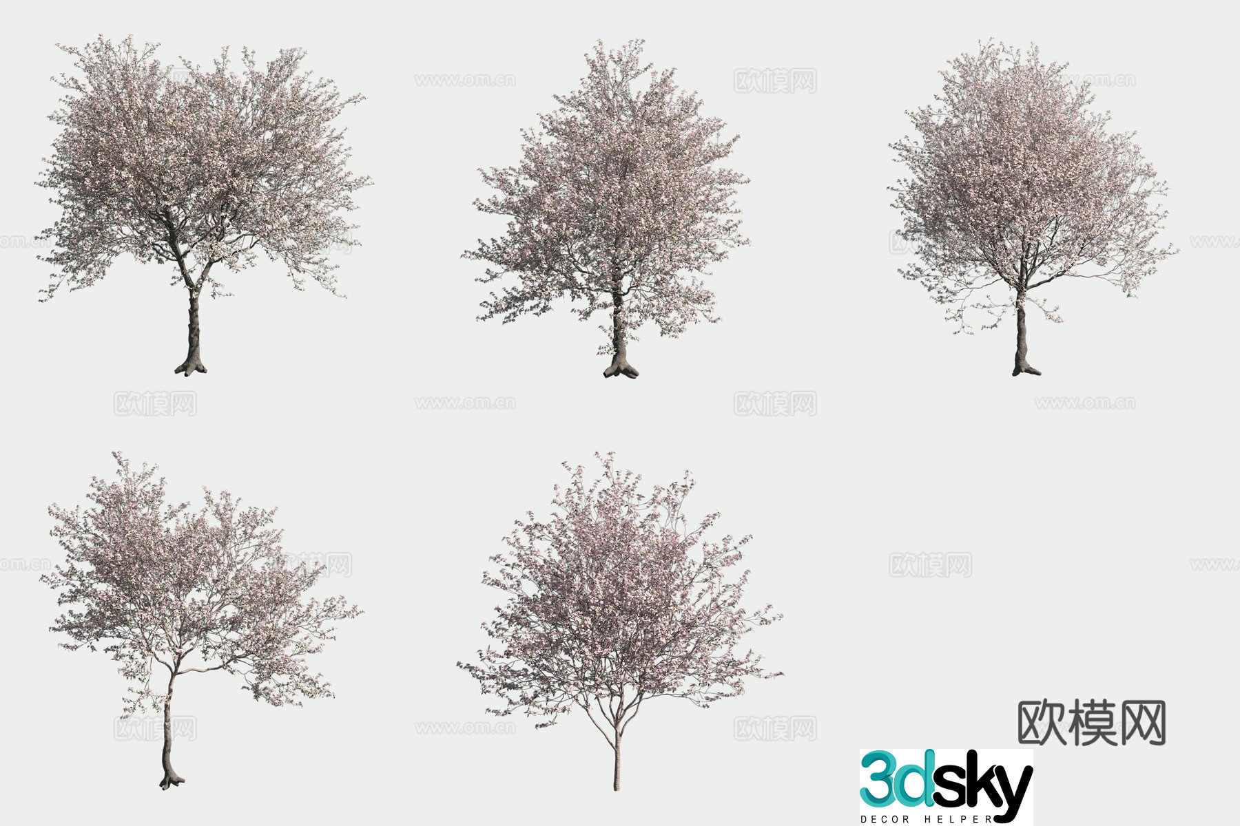 Almond tree flower tree 3d model