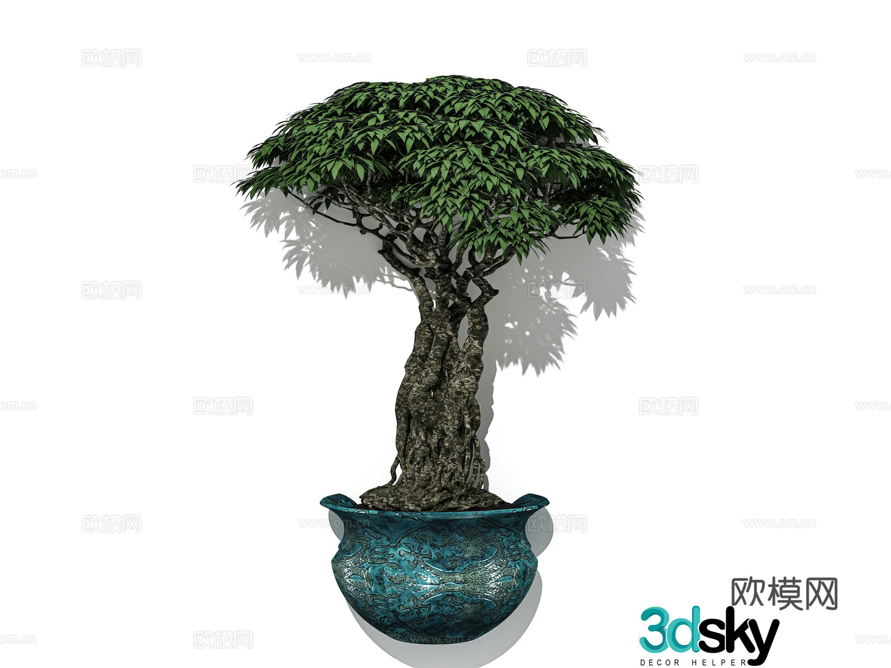 Chinese potted plants bonsai shape privet small leaf red sandalwood melon seed boxwood combination 3D model