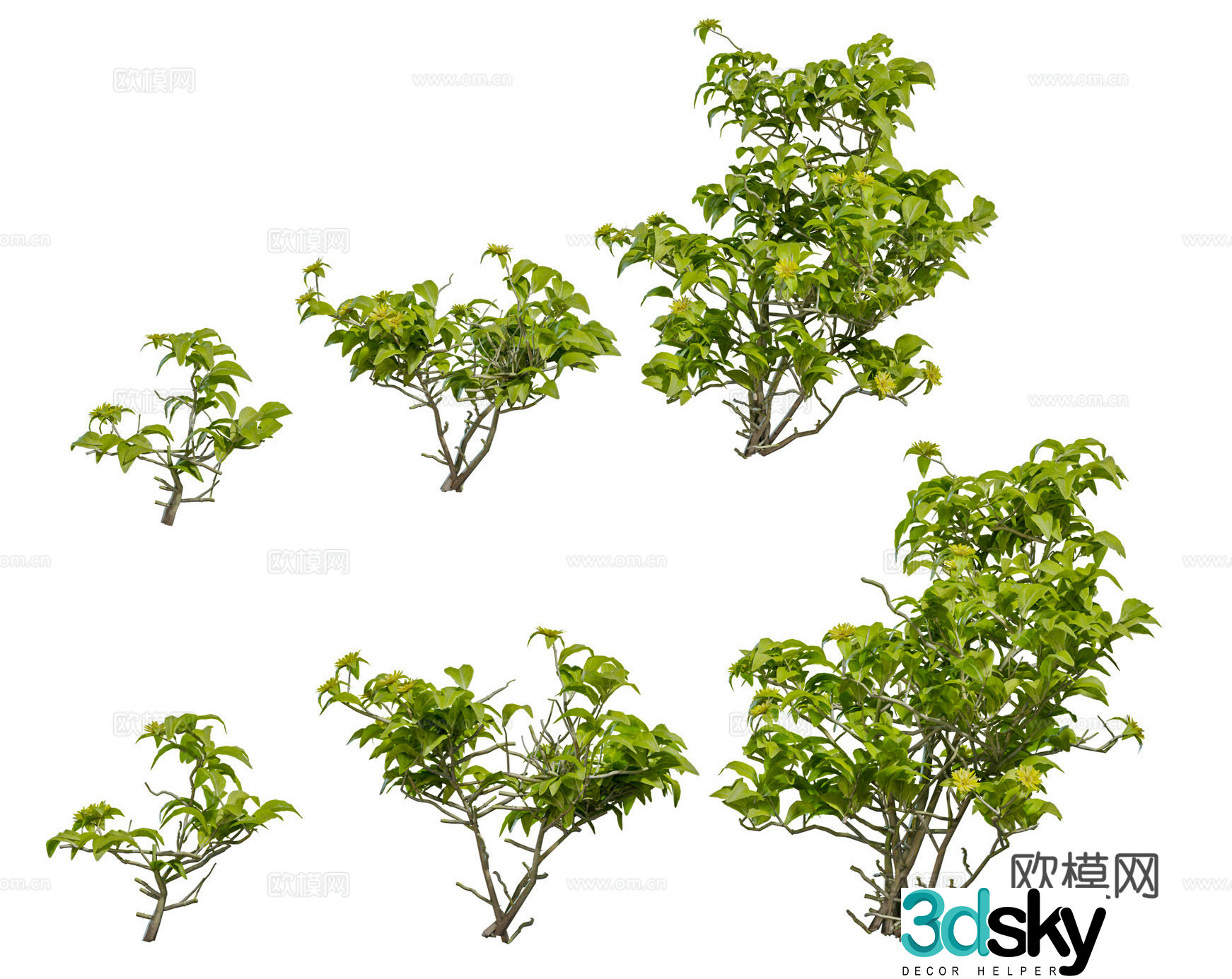 Modern shrub green plant combination Garden garden shrub Low shrub Small shrub 3d model