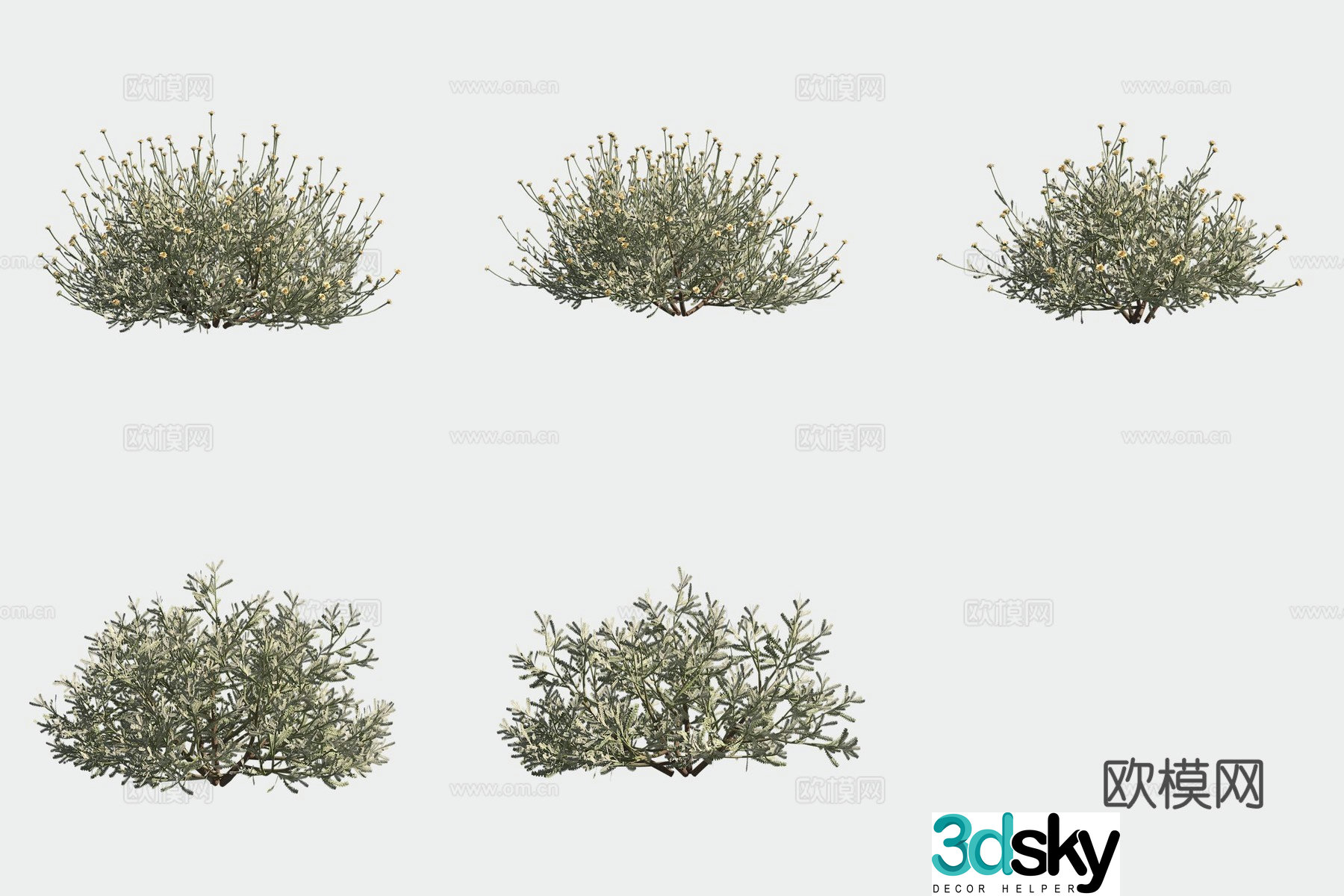 Gray leaf holland oak grass flowers and bushes 3d model