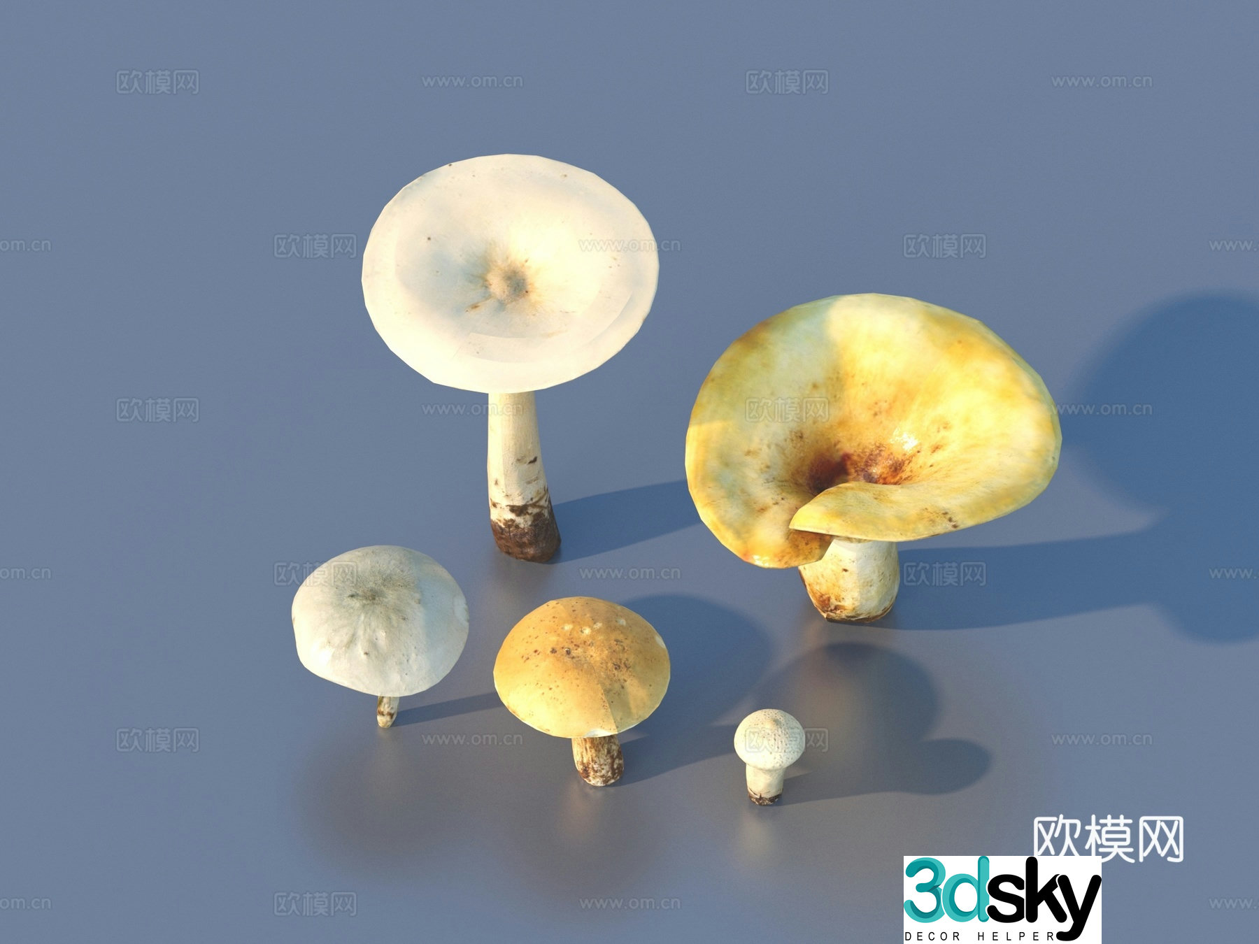 Mushroom Straw Mushroom Poisonous Mushroom 3D Model