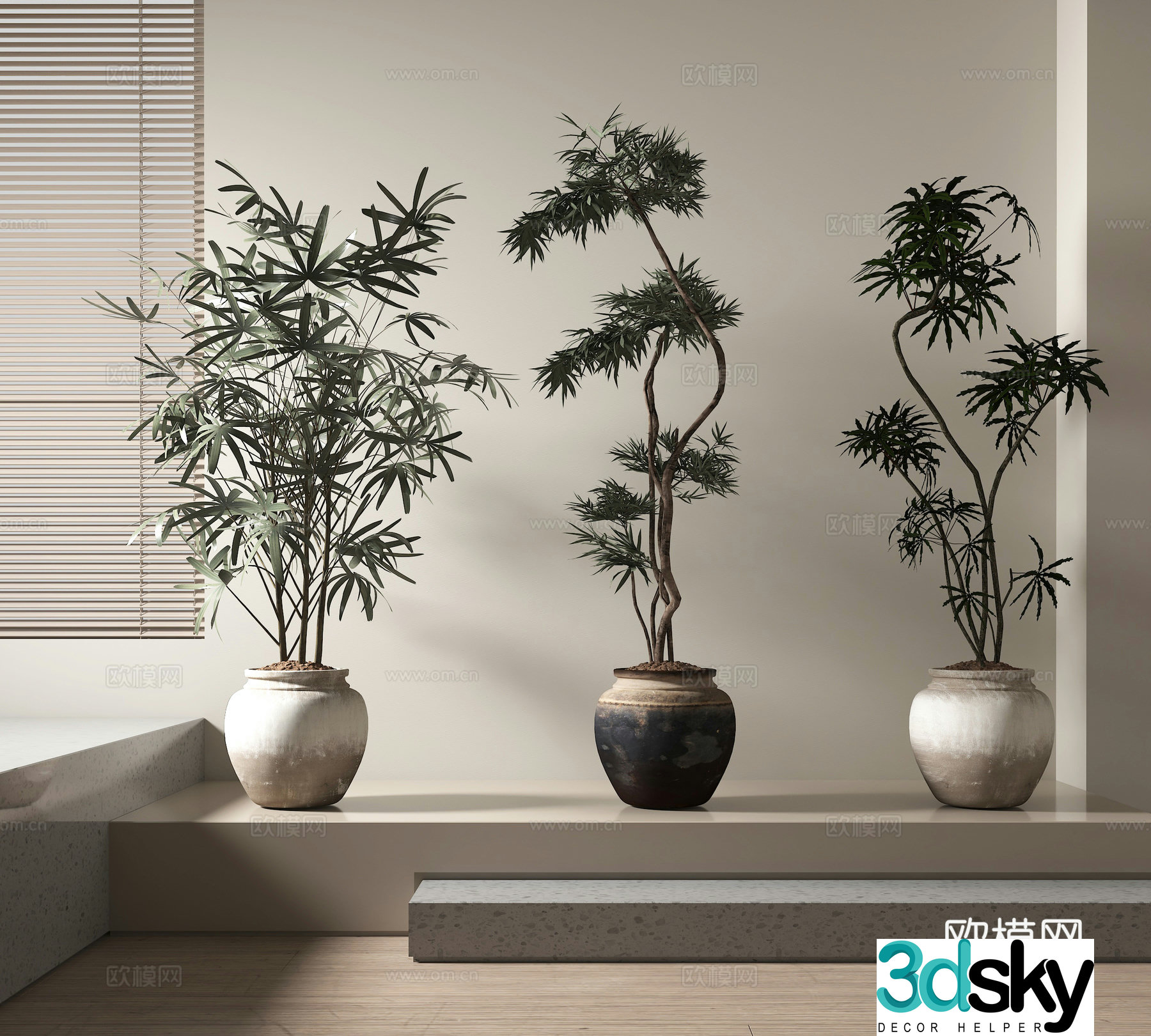 Potted plants Bonsai Green plants 3D model