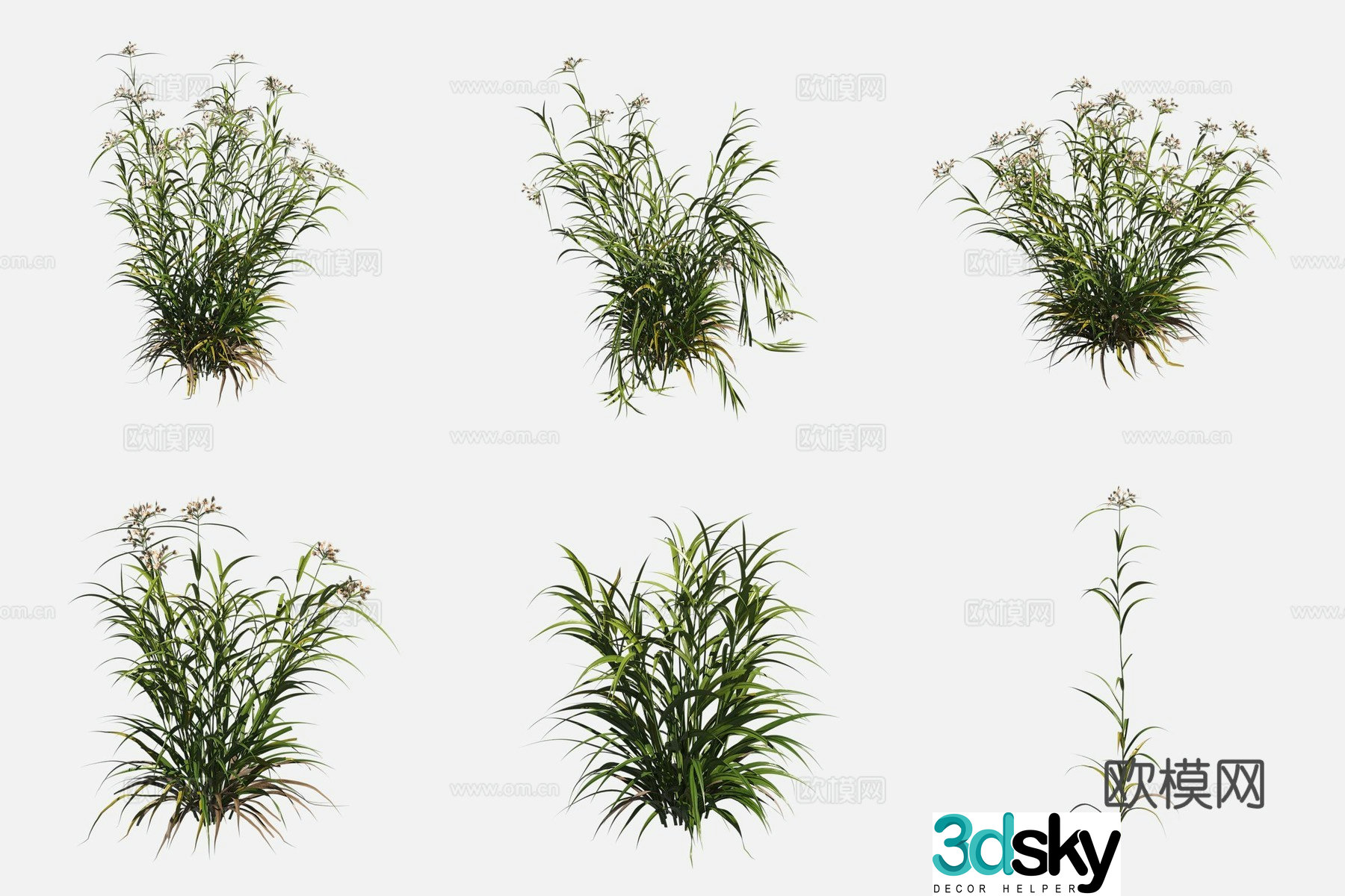 Water sedge marshland plants 3d model