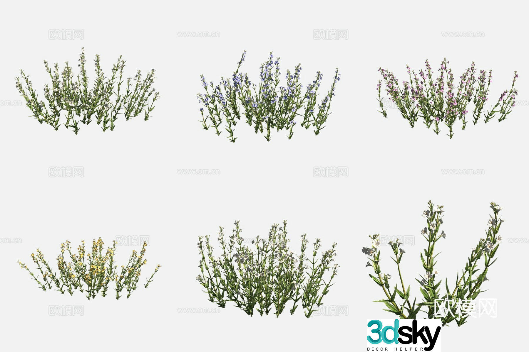 3D model of slim groove sour flowers and plants