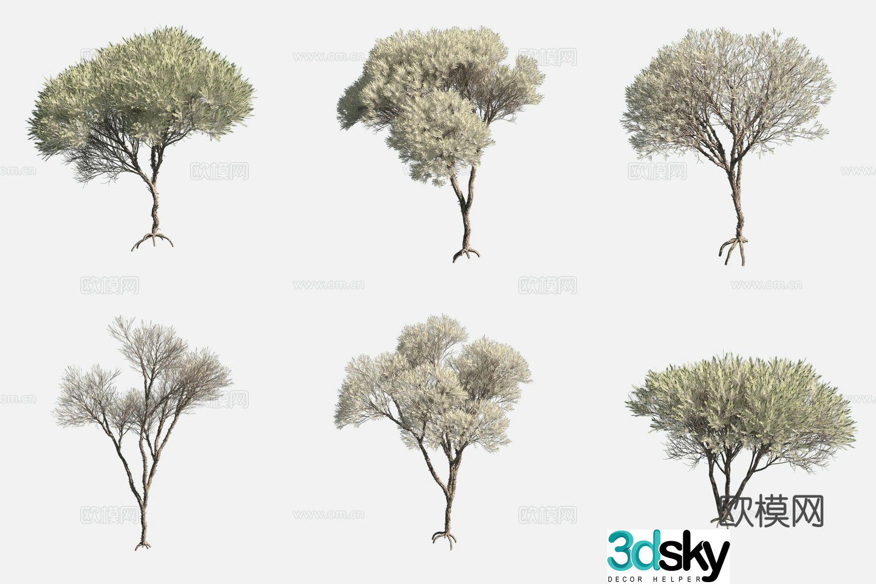 Heather Leaf White Thousand Layer Flower Tree Worcesterland Plant 3D Model