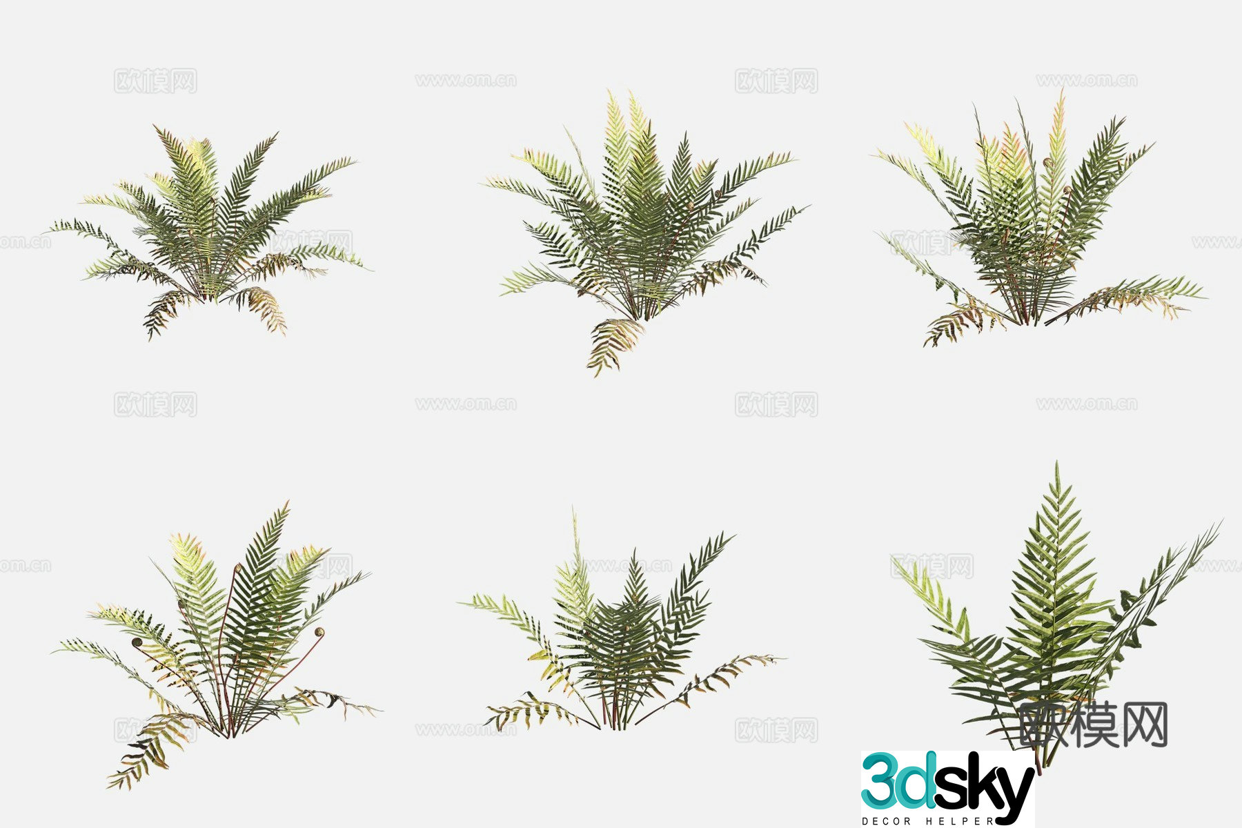 Indian swamp umur wool wool plants 3d model