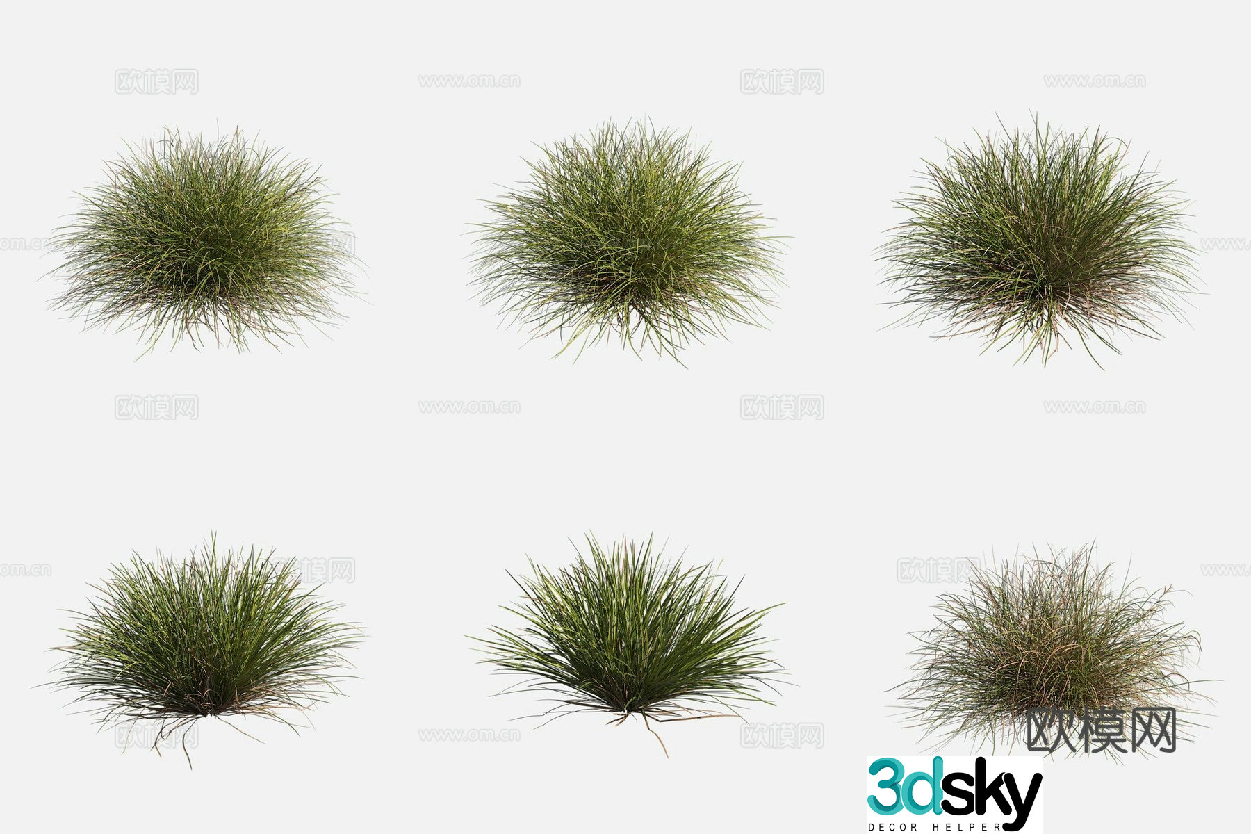 3D model of tan moss grass wetland plants