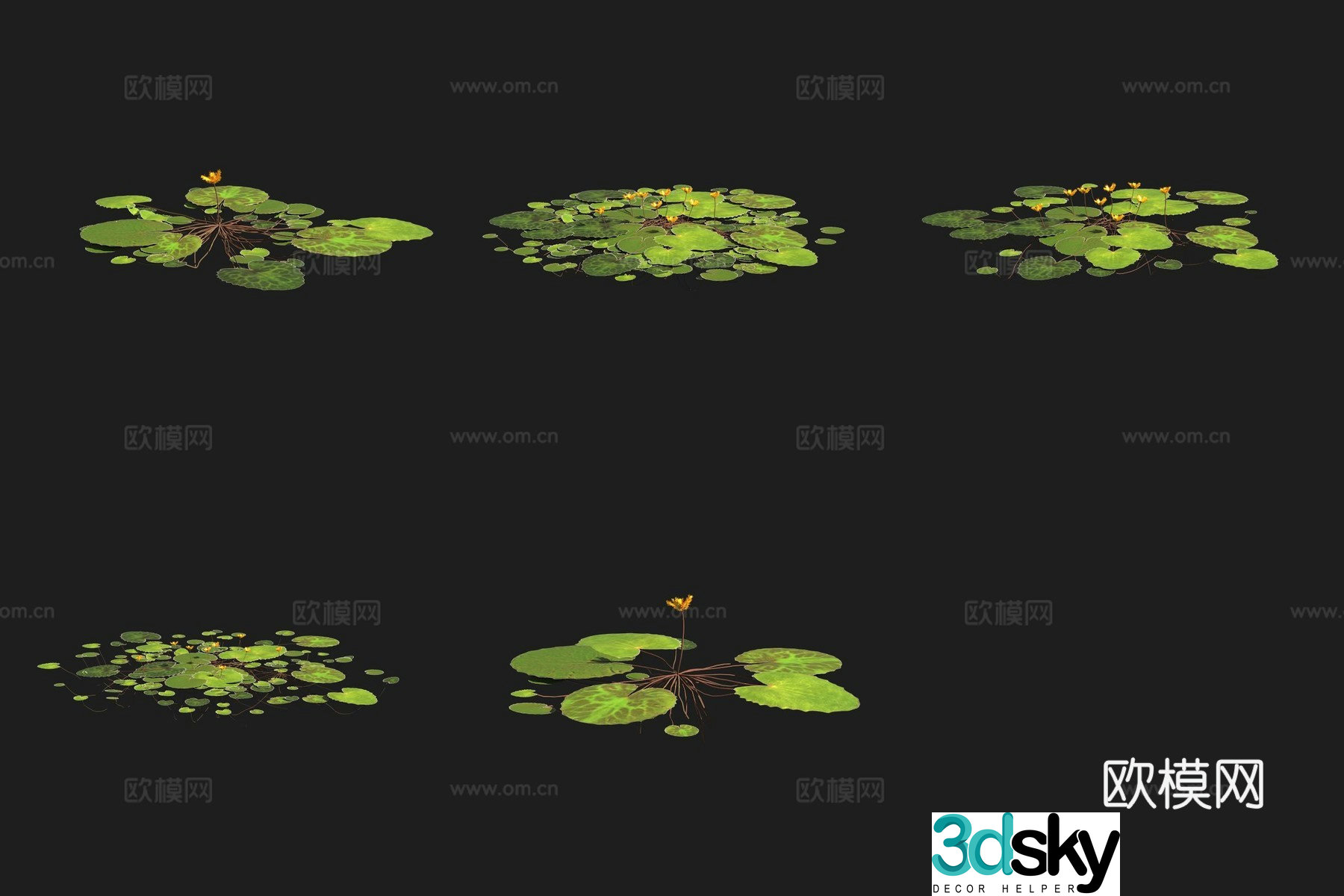 3D model of squid aquatic plants in wetland plants