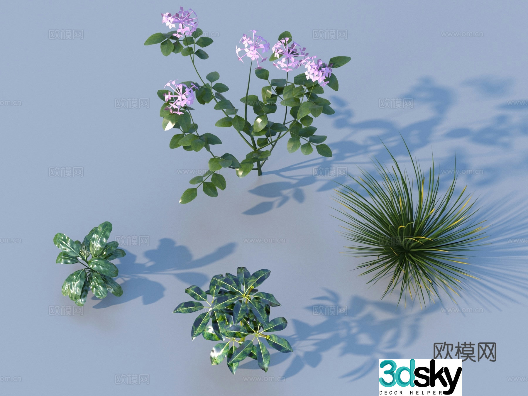 Grass Outdoor Landscape Flowers and Grass 3D Model