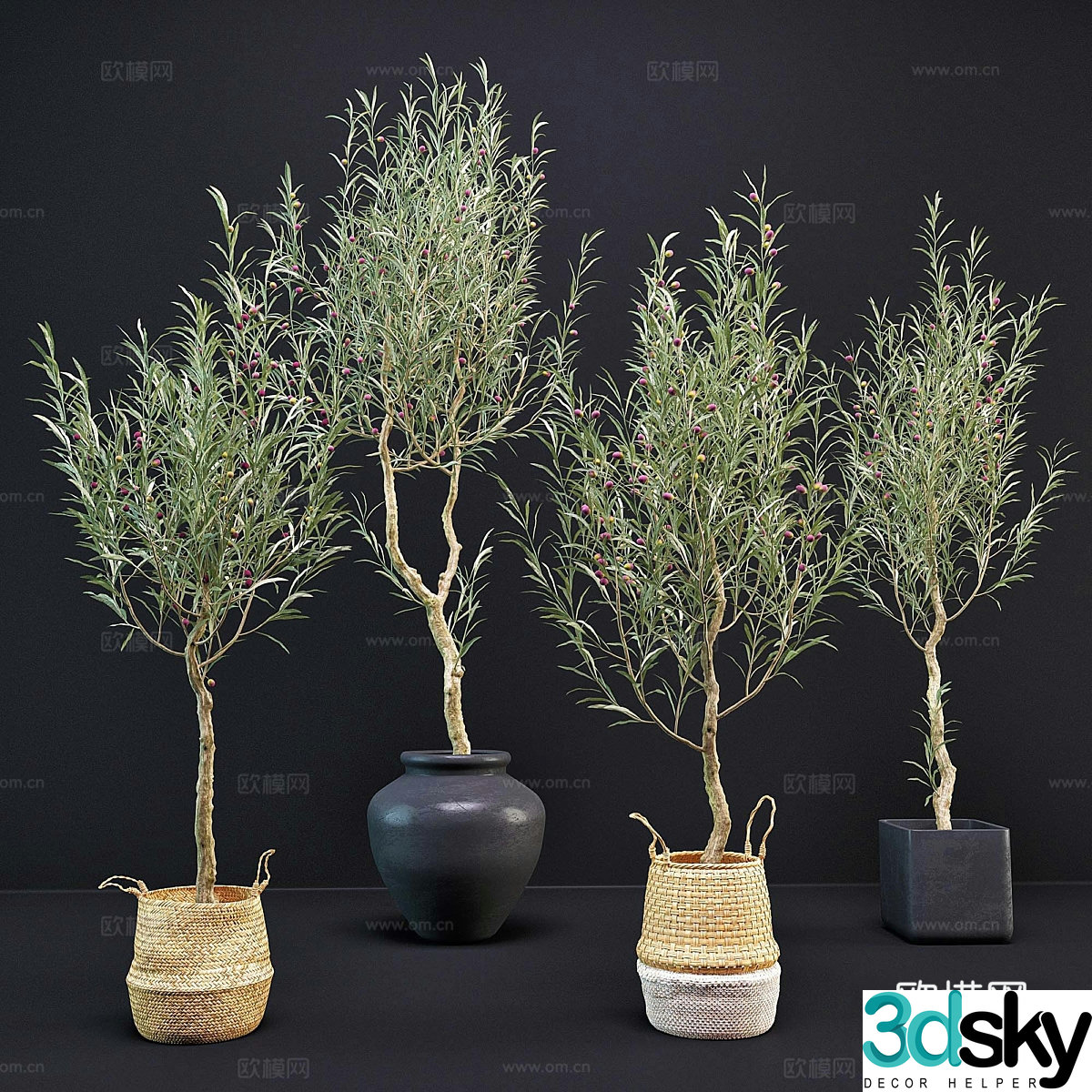 Green plant potted 3D model