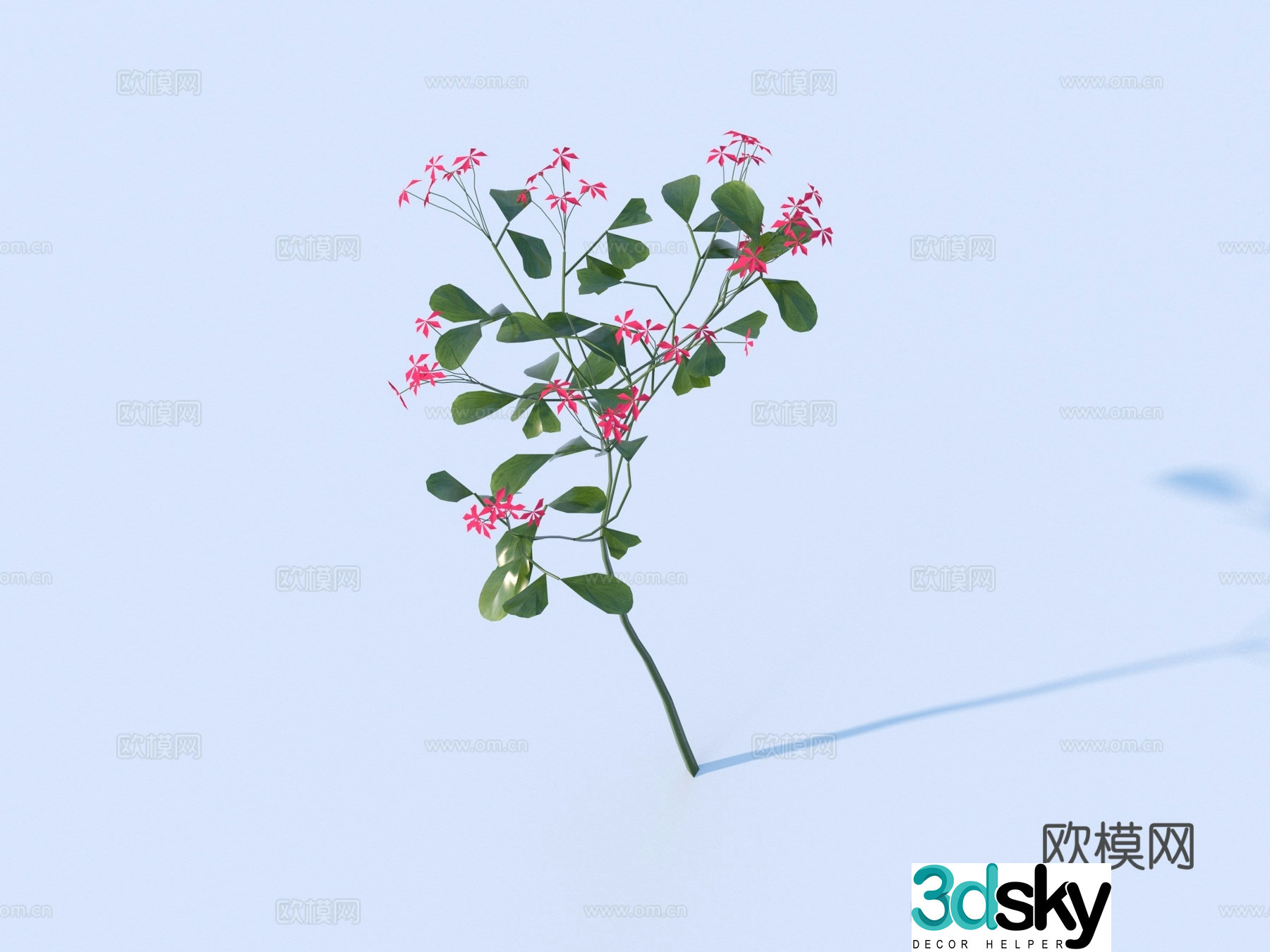 Flowers Wild Flowers Green Plants Flowers 3D Model