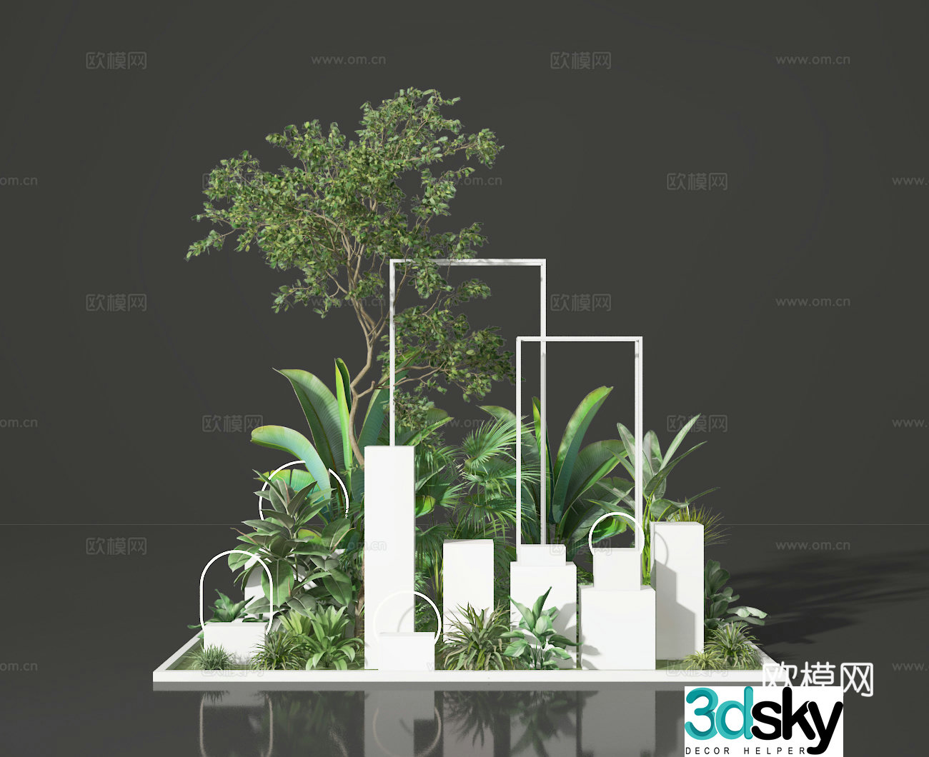 Plant beauty 3D model