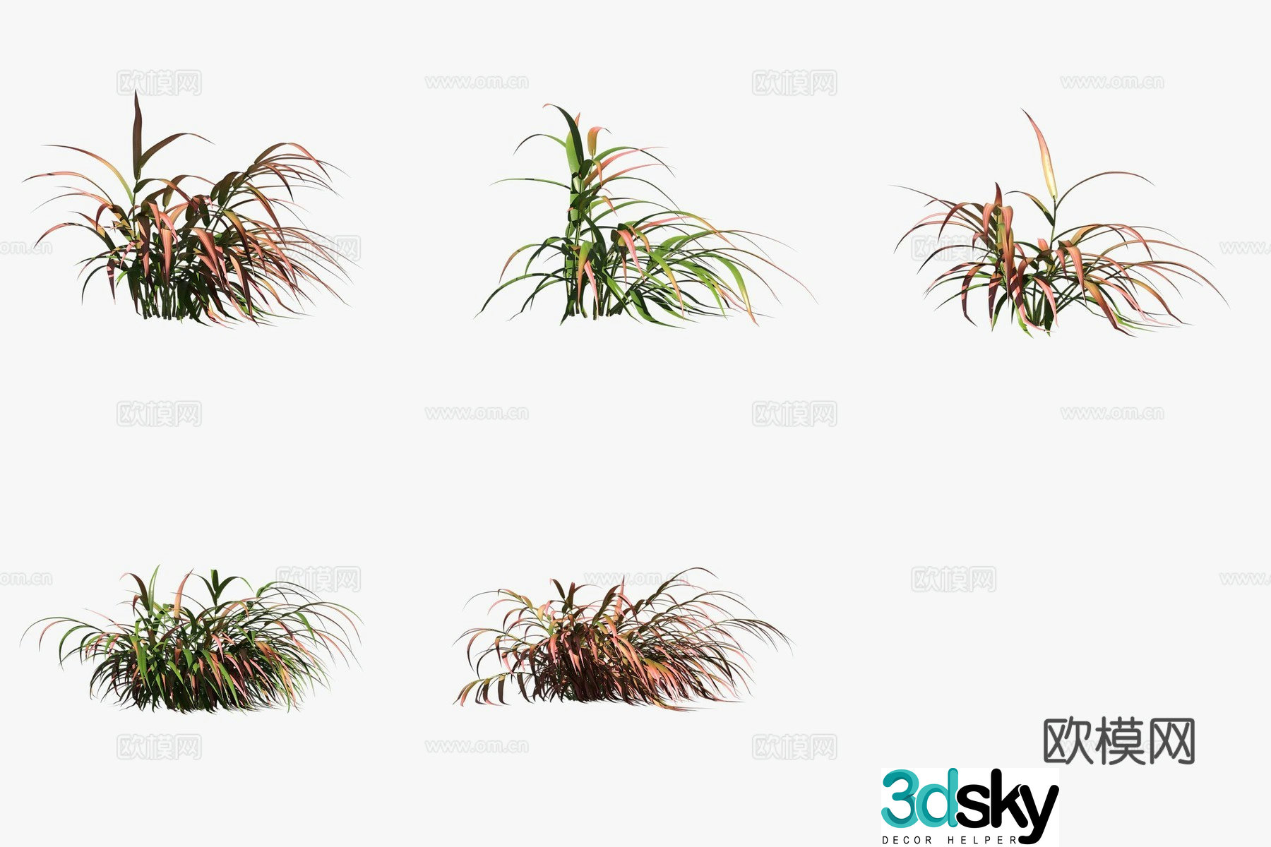 3D model of red belligera flowers and plants