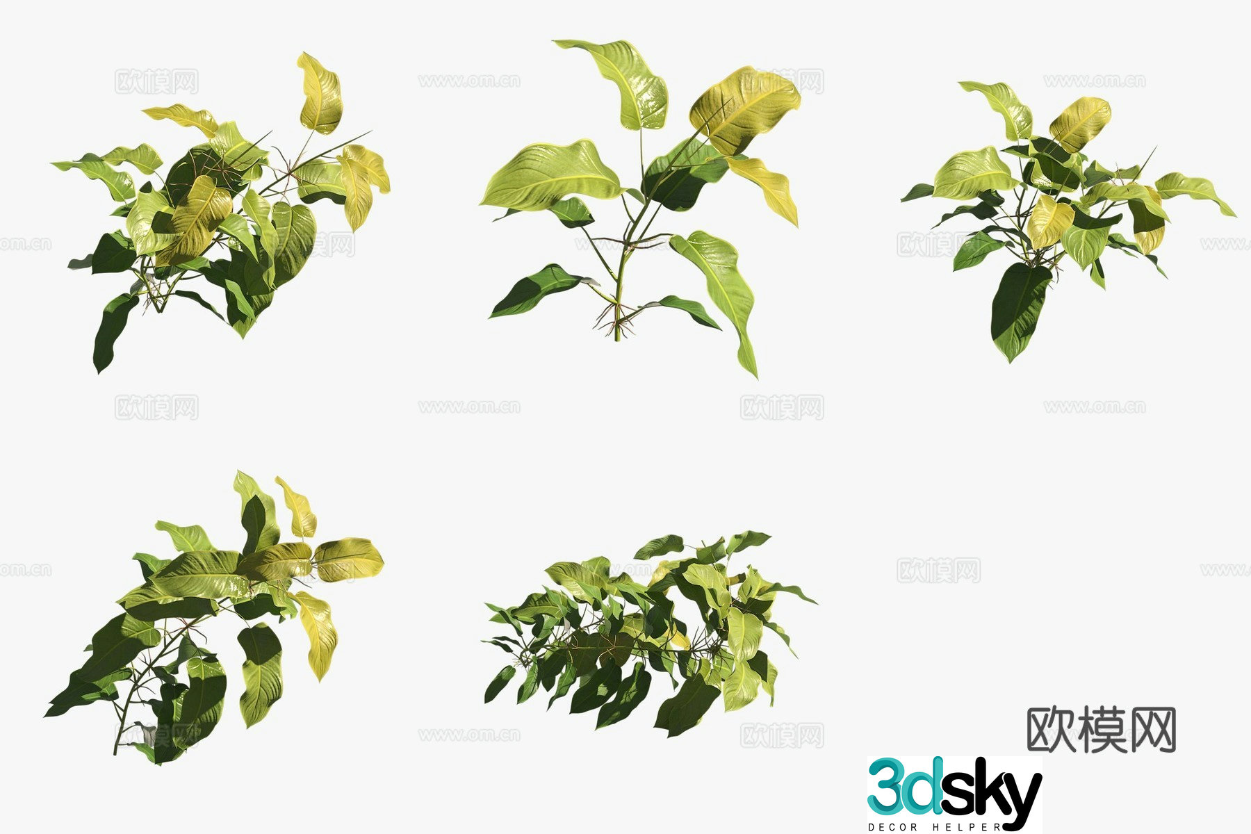 Golden vine green velvet flower plants green plants 3D model