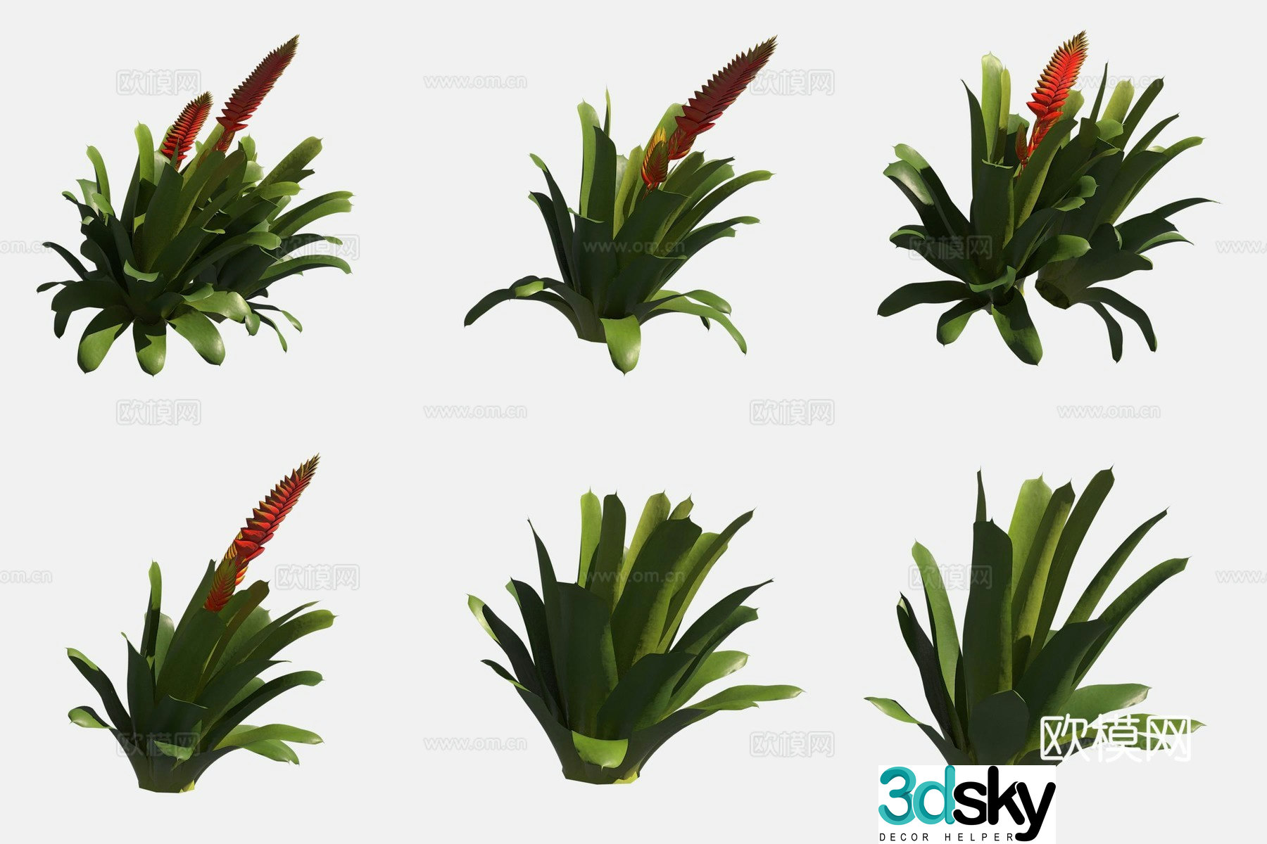 Yingge pineapple flower and grass green plant 3d model