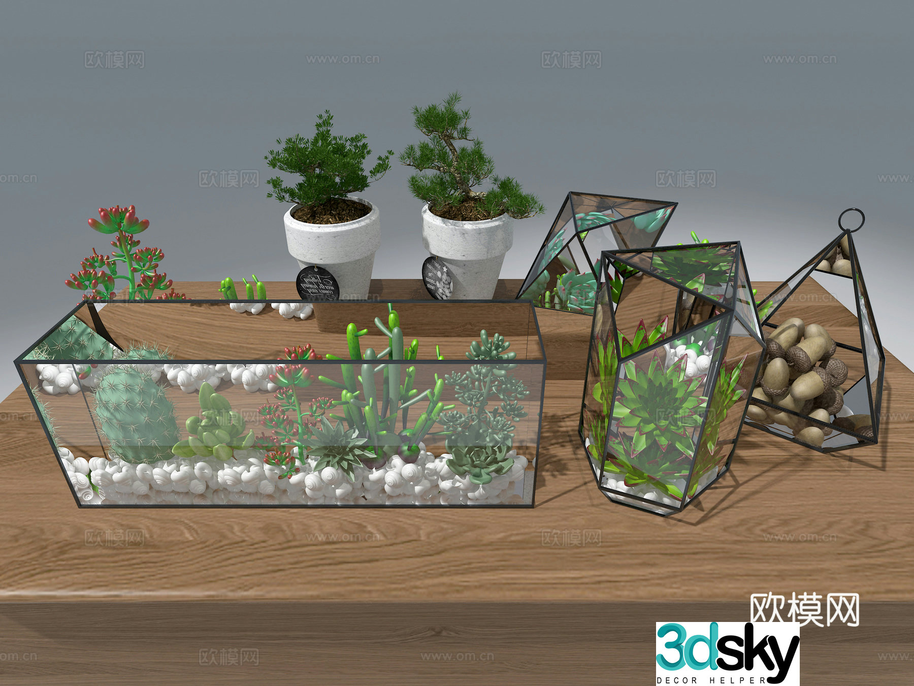 Succulent 3D model